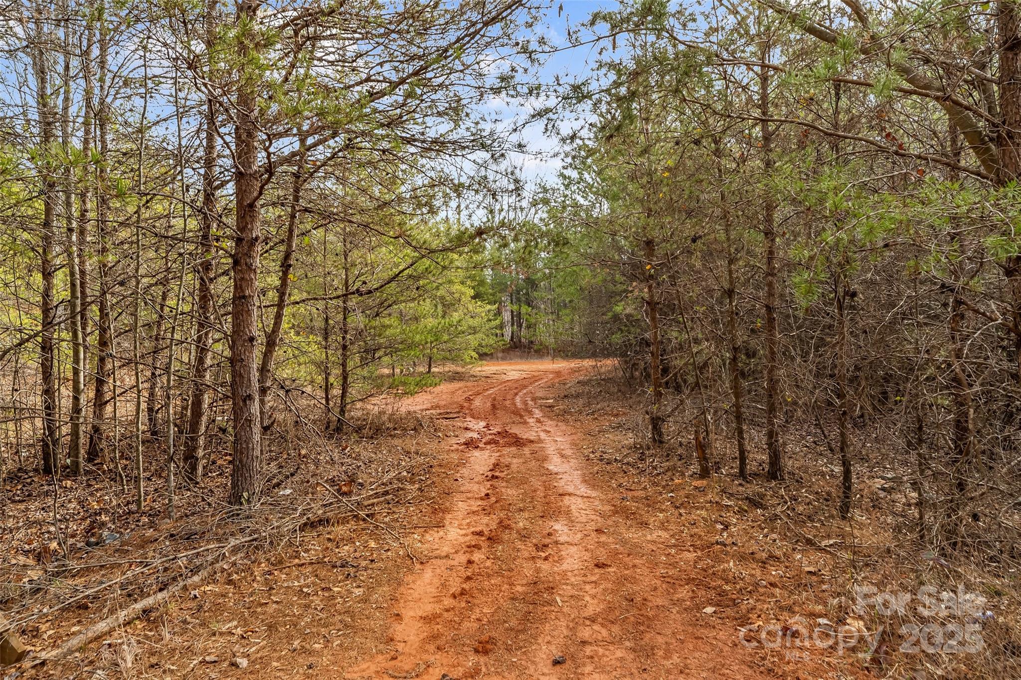 173 & 207 Deer Creek Trail Property Photo 23