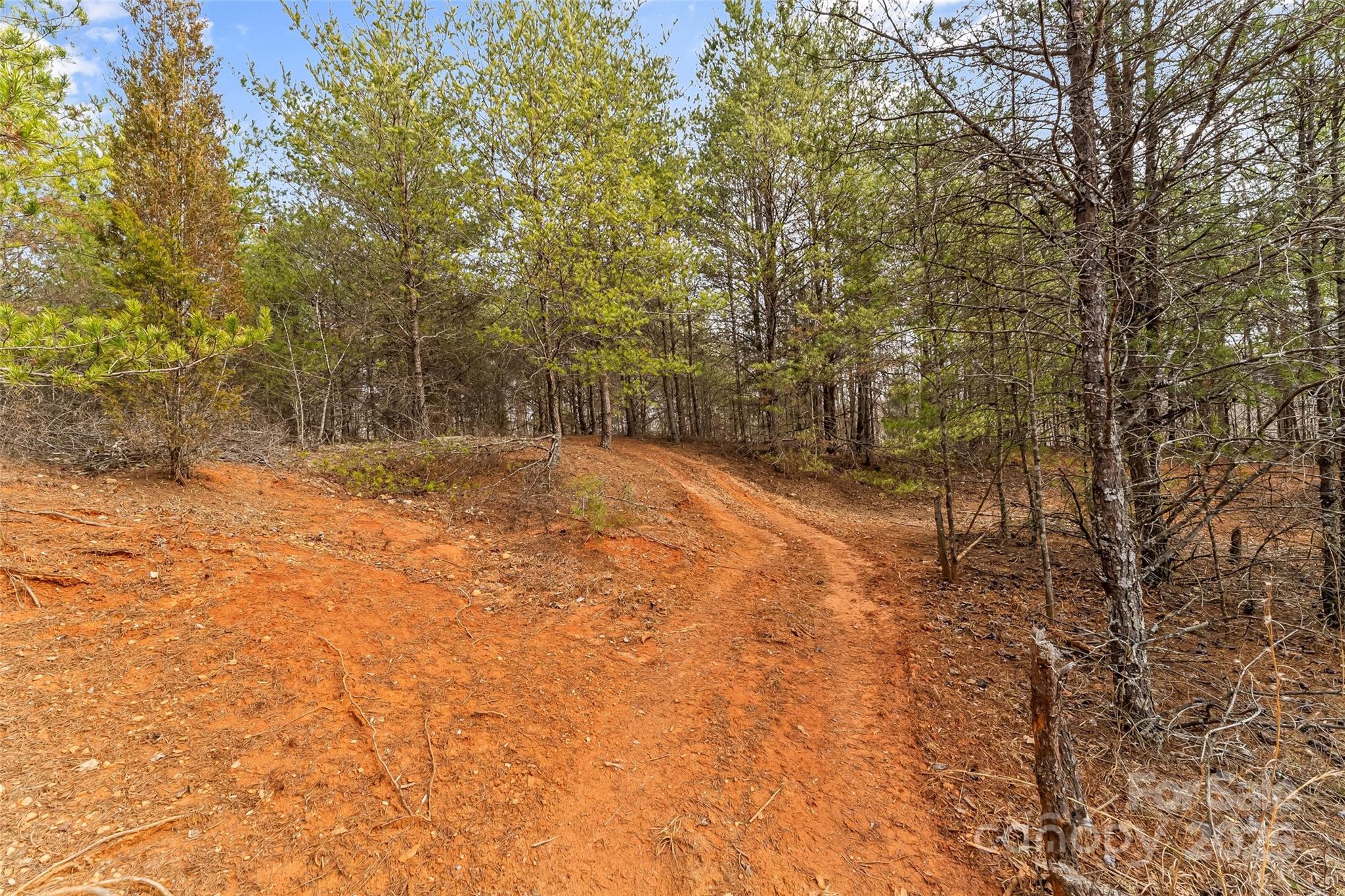 173 & 207 Deer Creek Trail Property Photo 25