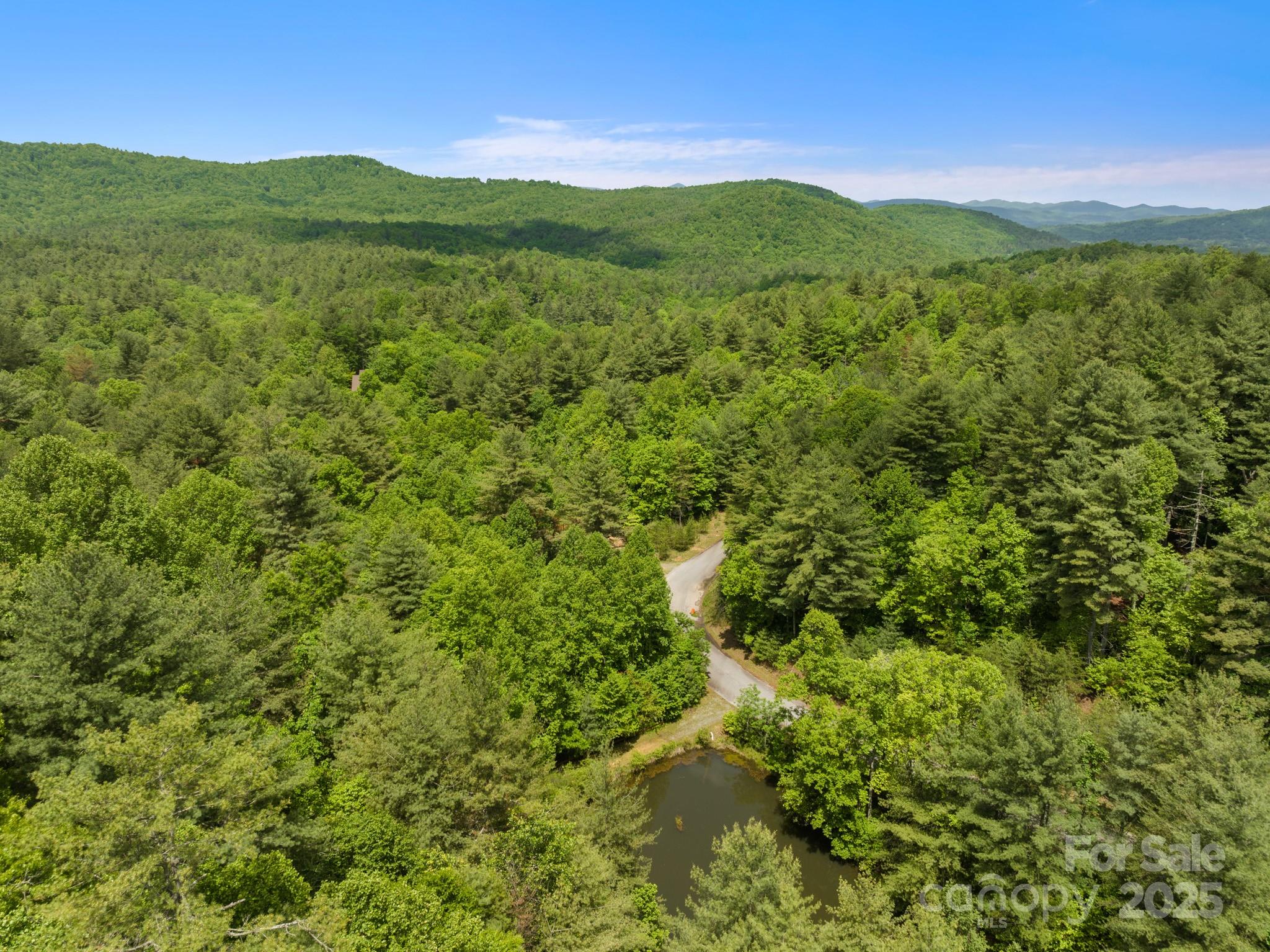 Lot #28 Awi Trail Property Photo 3