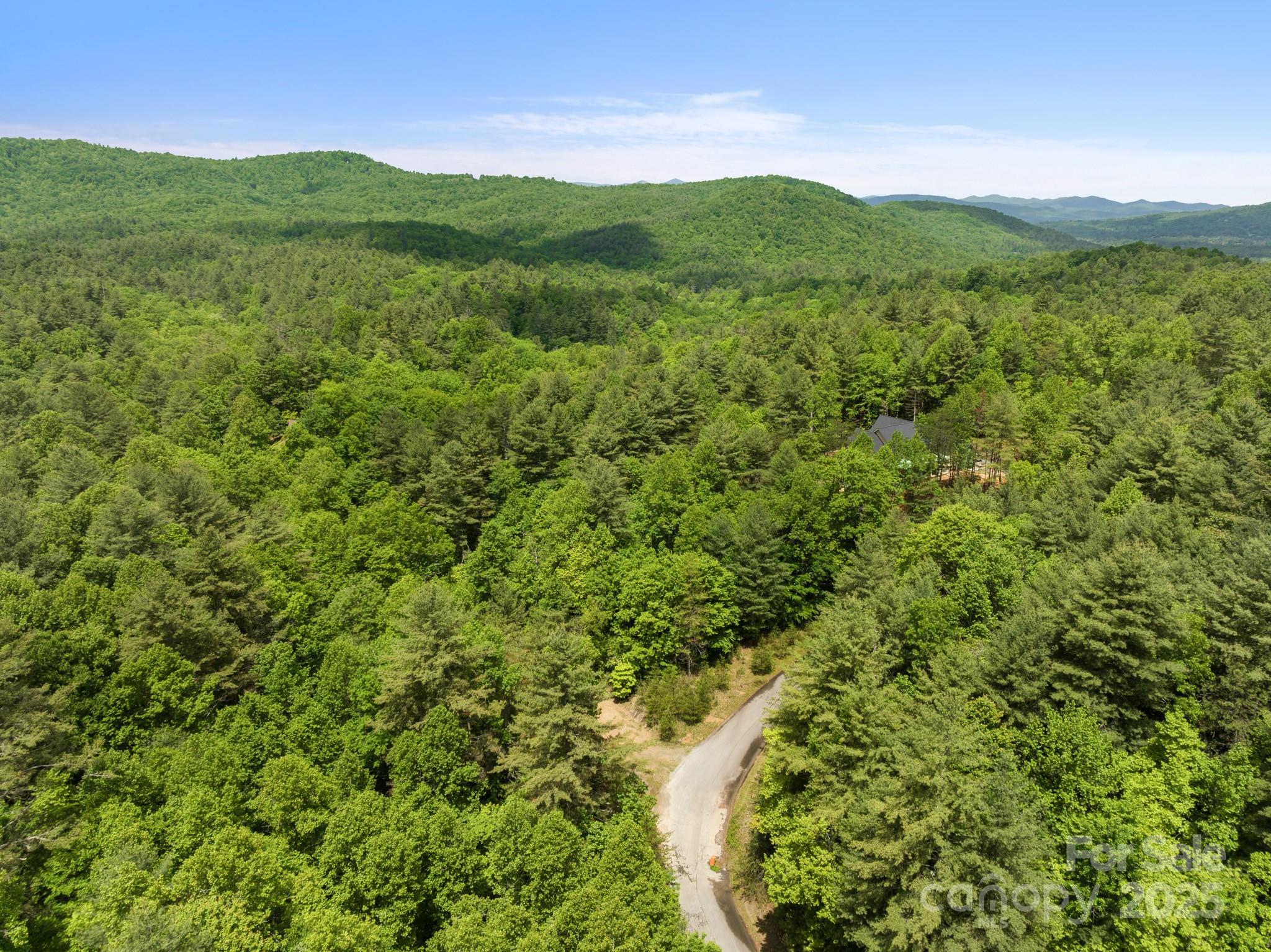 Lot #28 Awi Trail Property Photo 4