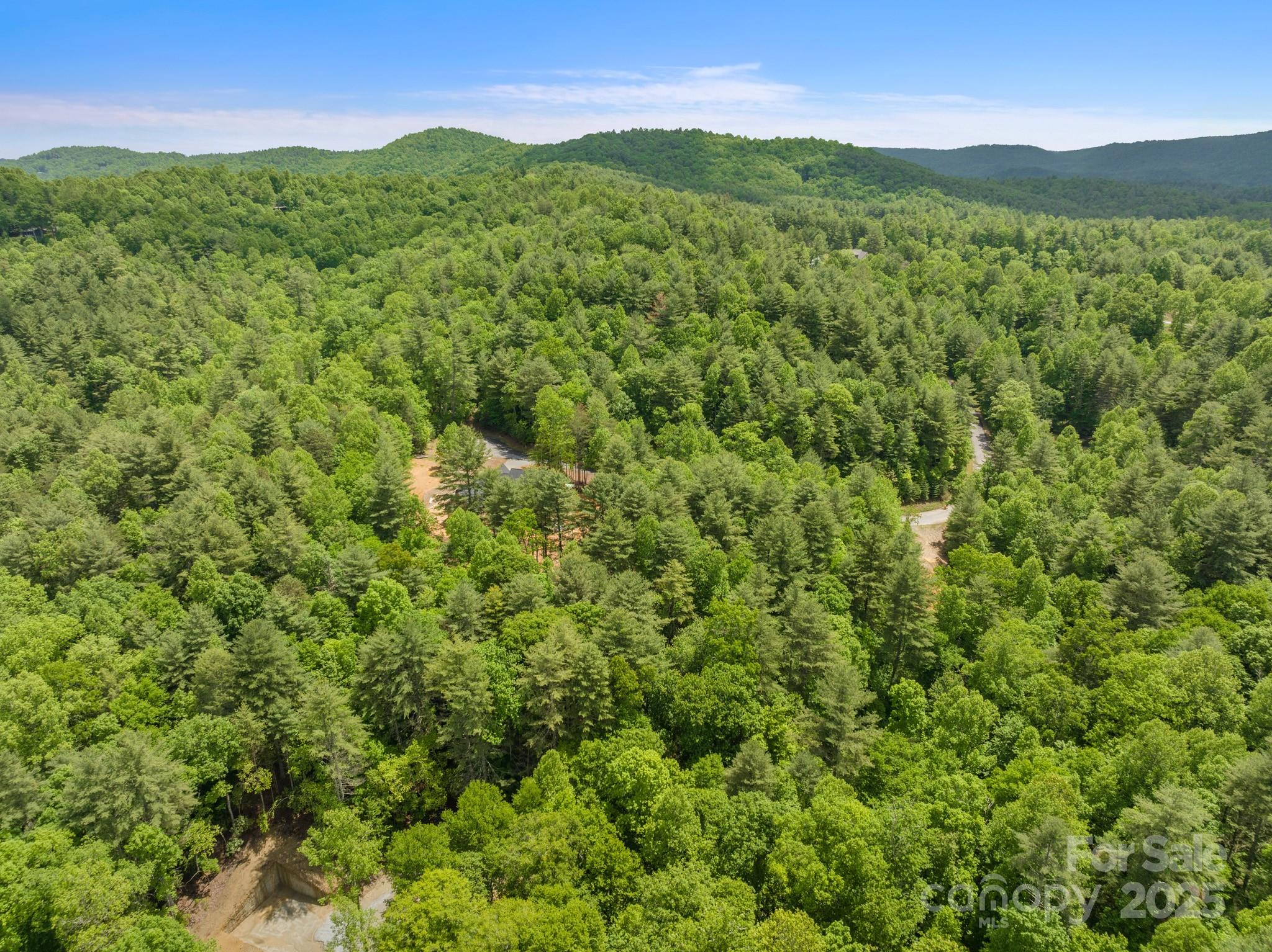 Lot #28 Awi Trail Property Photo 8