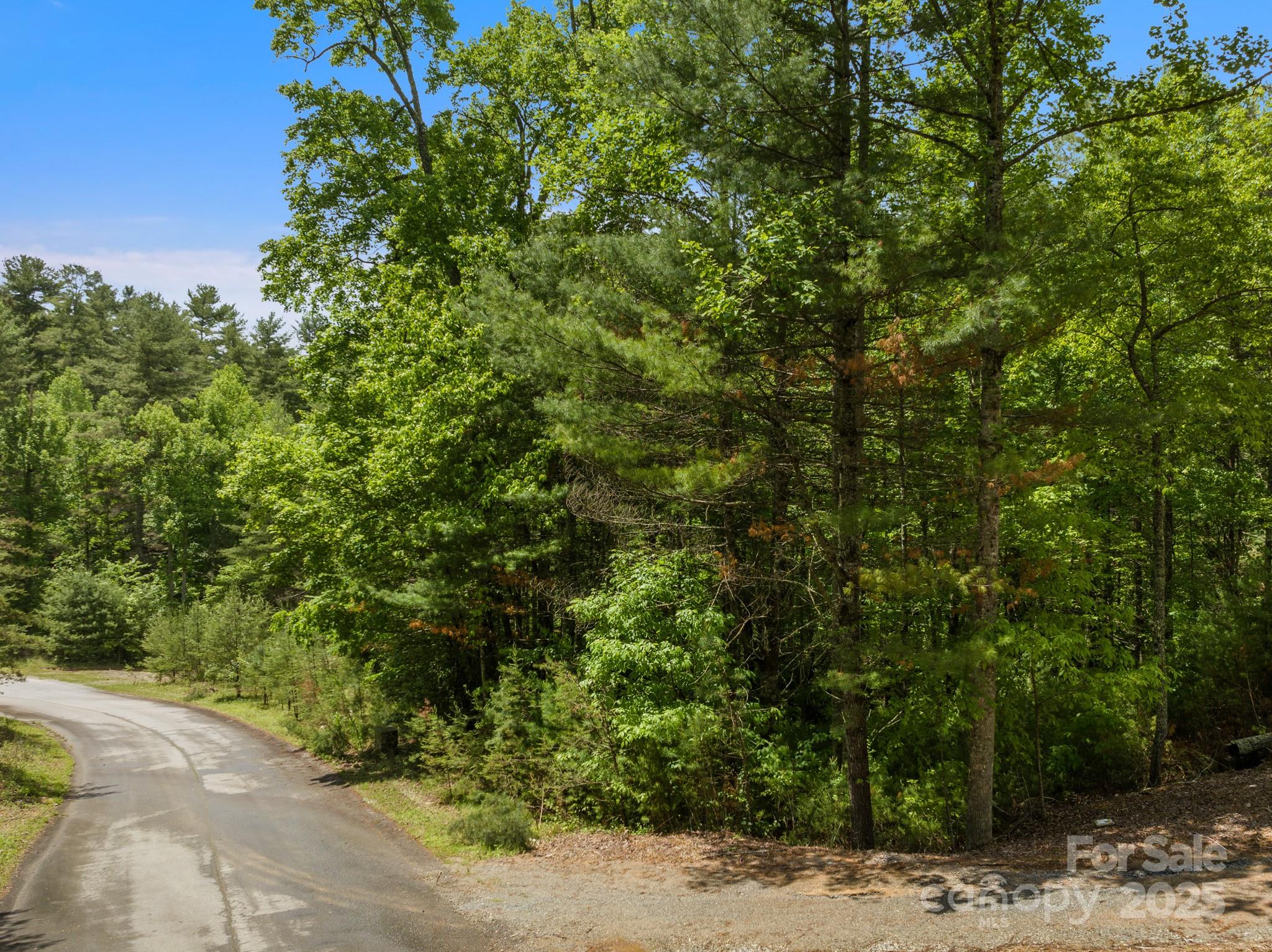 Lot #28 Awi Trail Property Photo 10