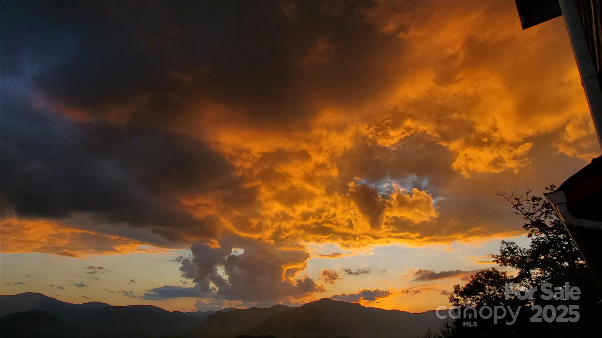 246 Half Moon Mile None Property Photo 42