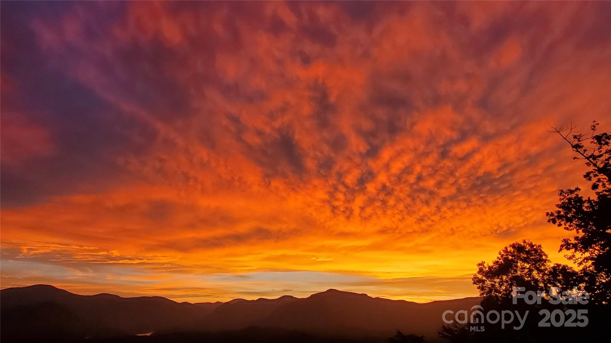 246 Half Moon Mile None Property Photo 43