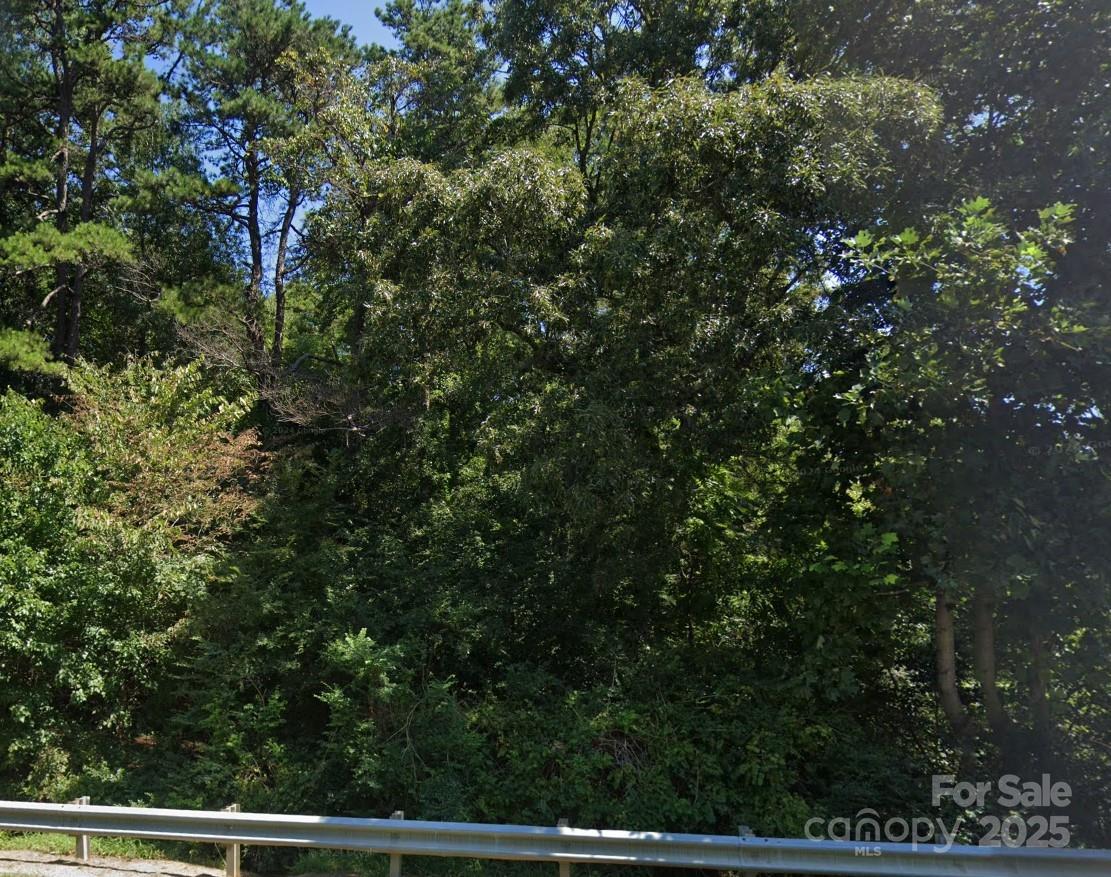 0 W Iredell Avenue Property Photo