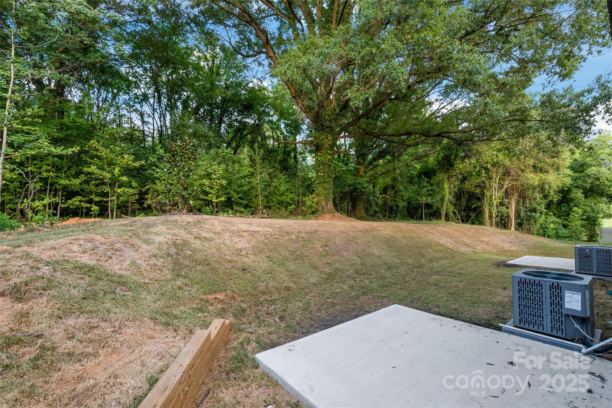 2809 New Pineola Road Property Photo 31