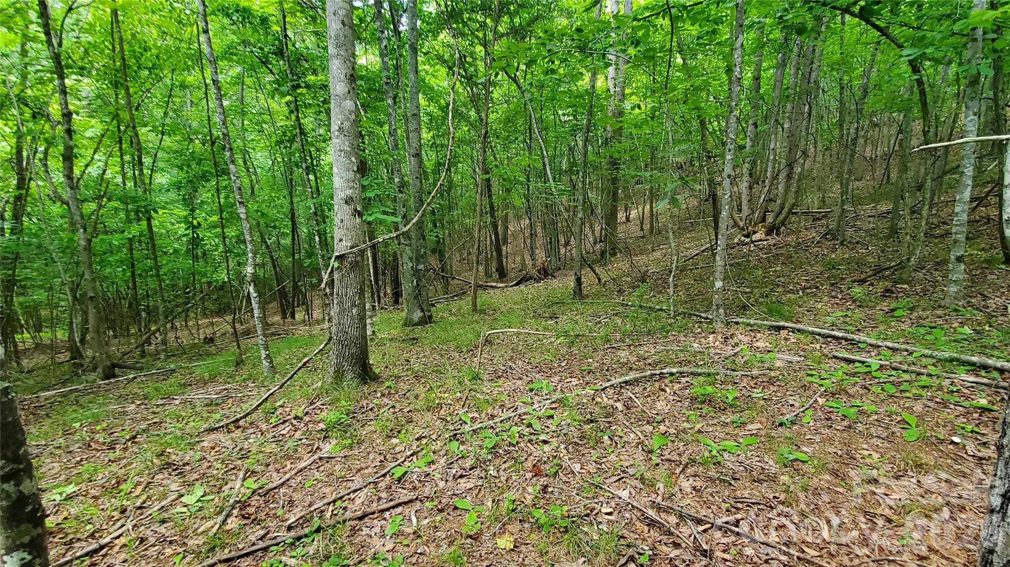 755 Hamilton Drive Property Photo 20