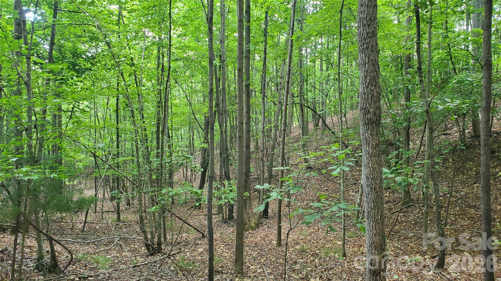 755 Hamilton Drive Property Photo 24