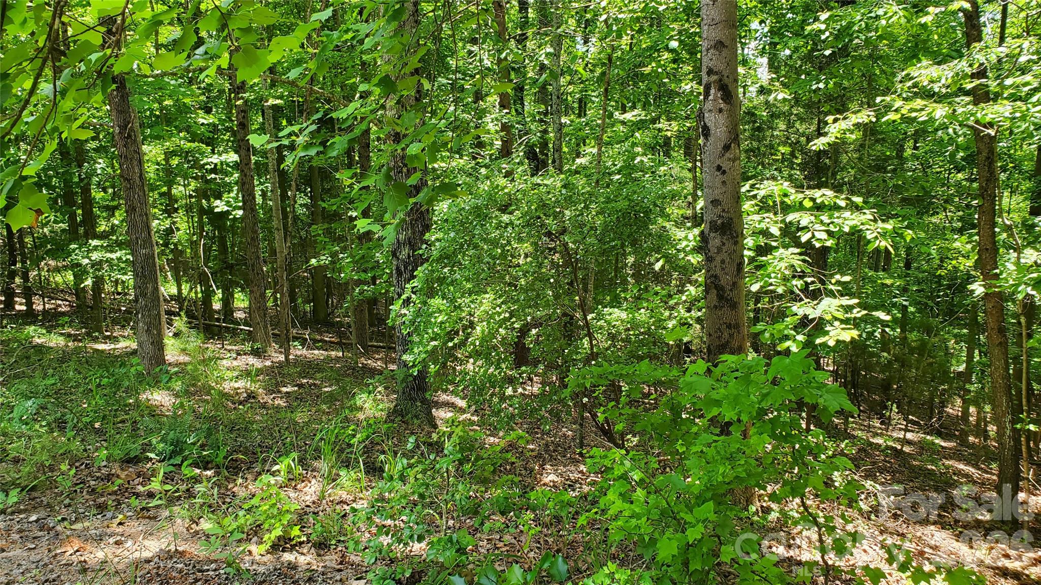 755 Hamilton Drive Property Photo 25