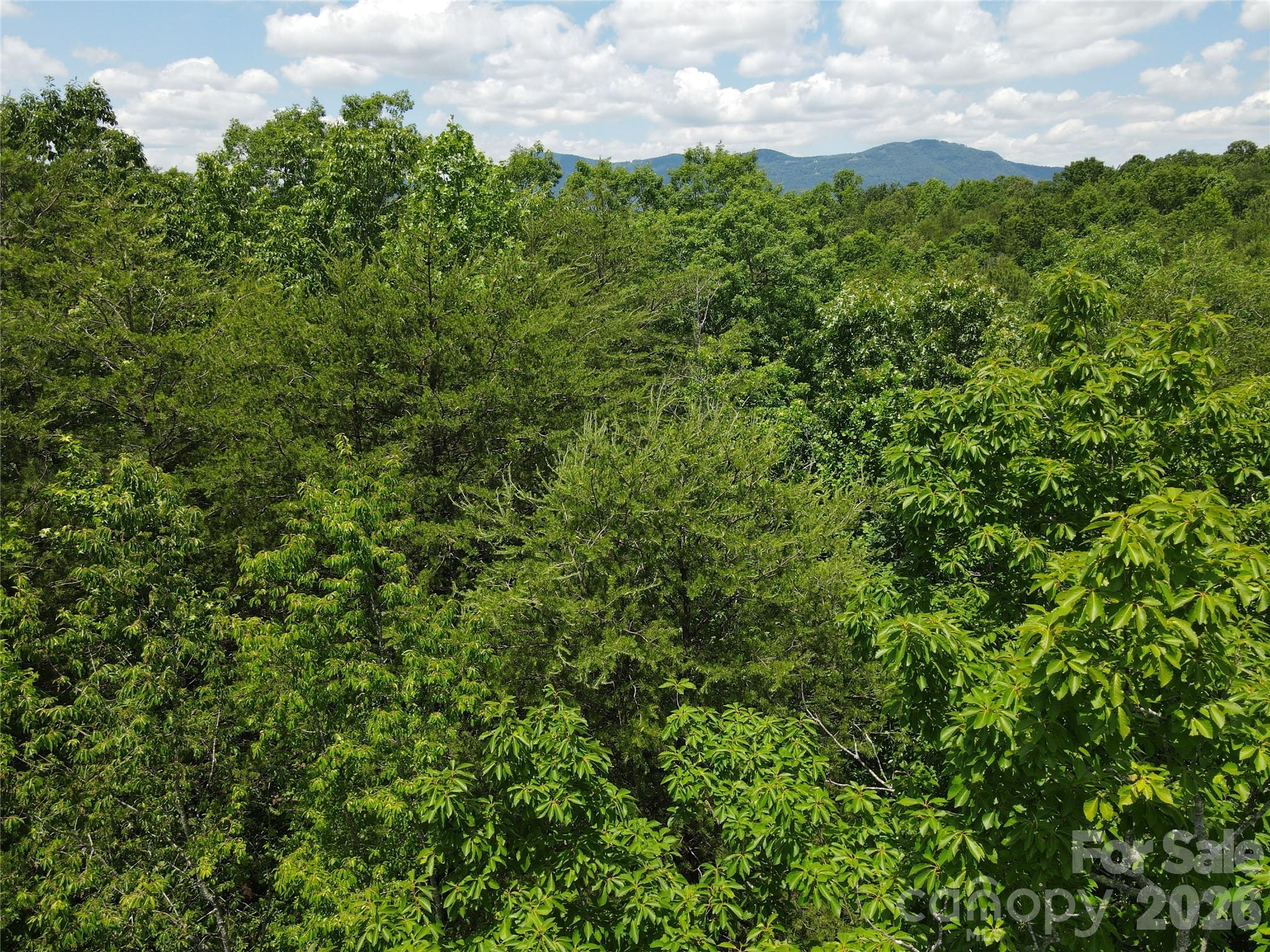 755 Hamilton Drive Property Photo 33