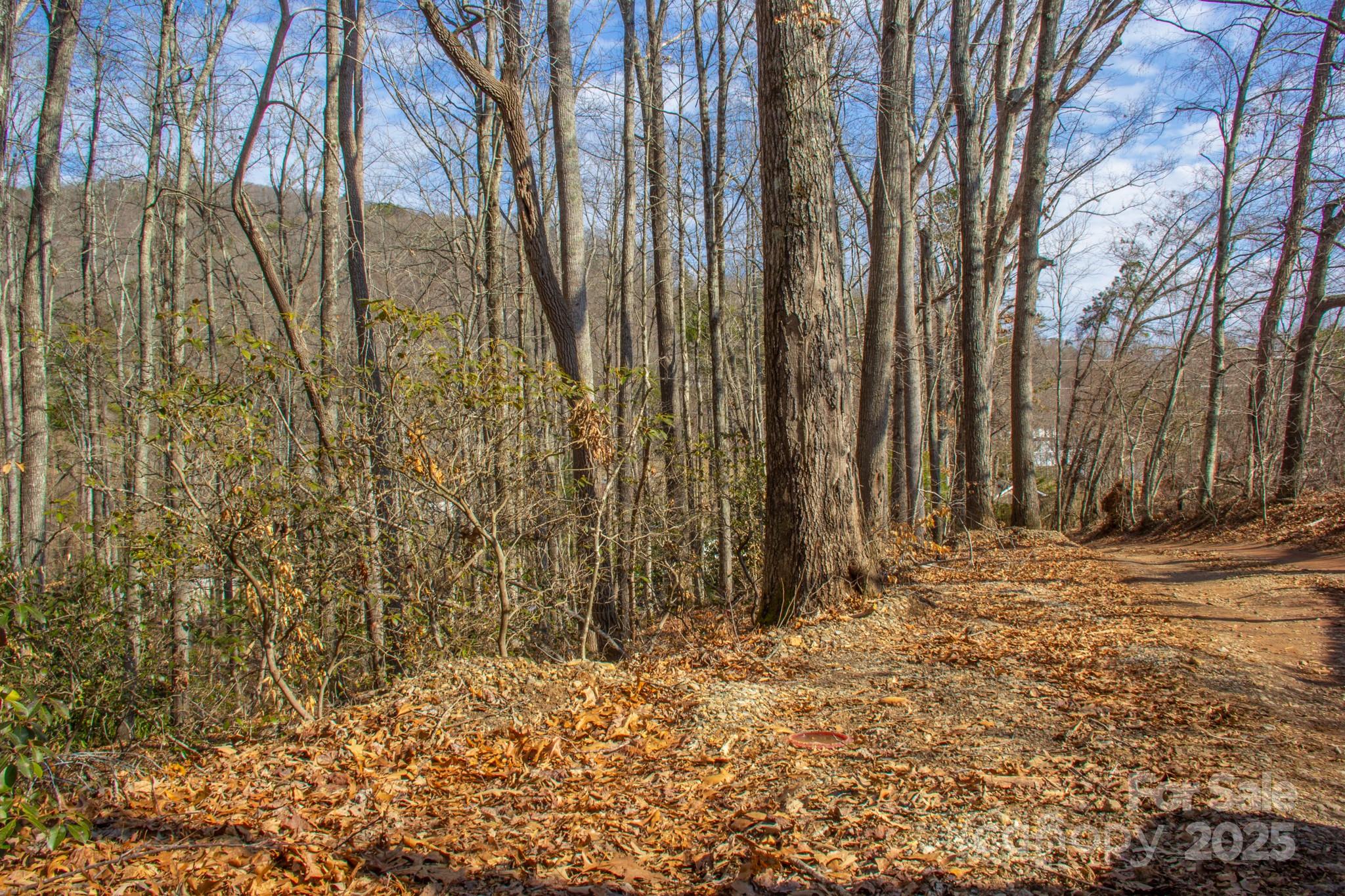 00 Meandering Trail Property Photo