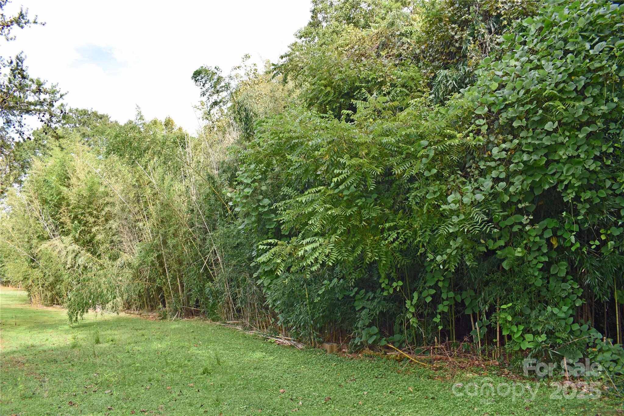 3624 Hickory Lincolnton Highway Property Photo 26