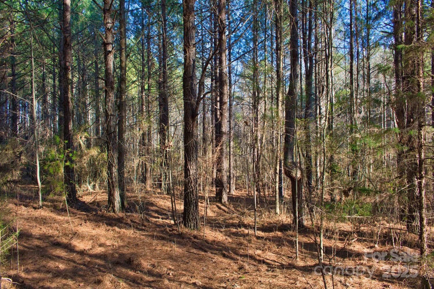 0 Clearwater Parkway 209 Property Photo 4