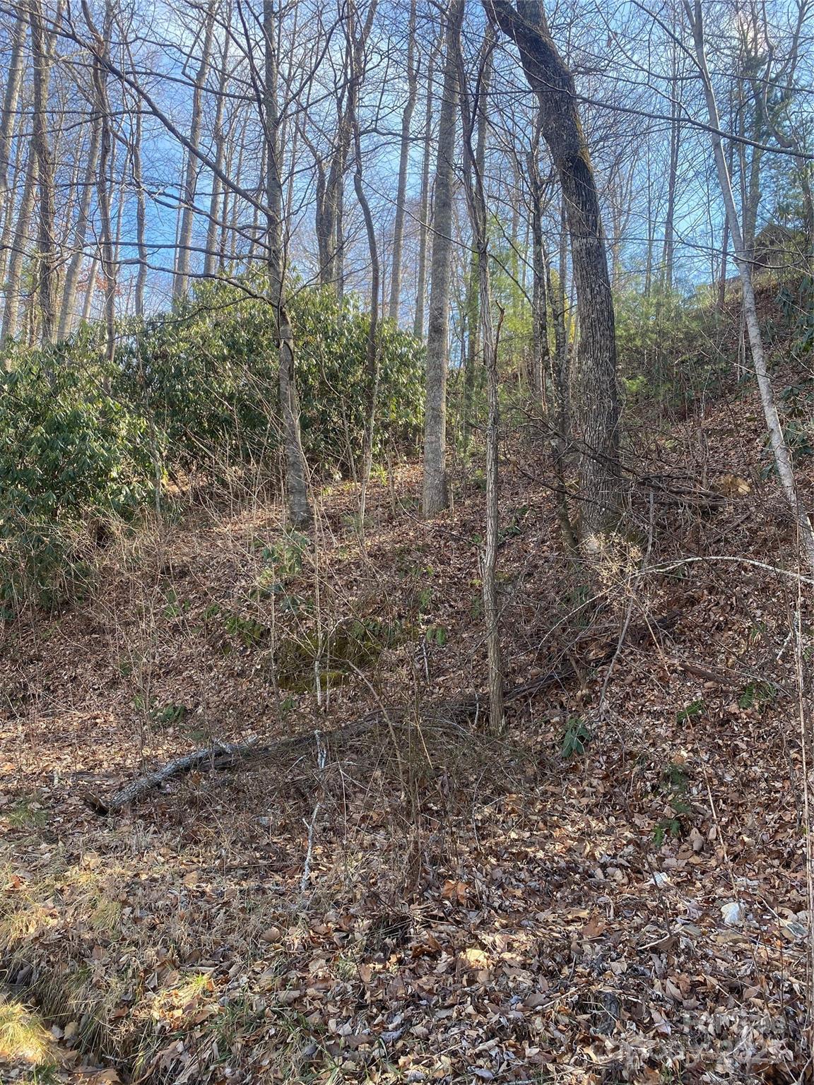 131 Eagles Eye Drive Property Photo 2