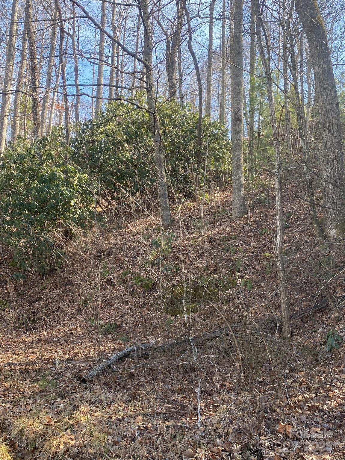 131 Eagles Eye Drive Property Photo 3