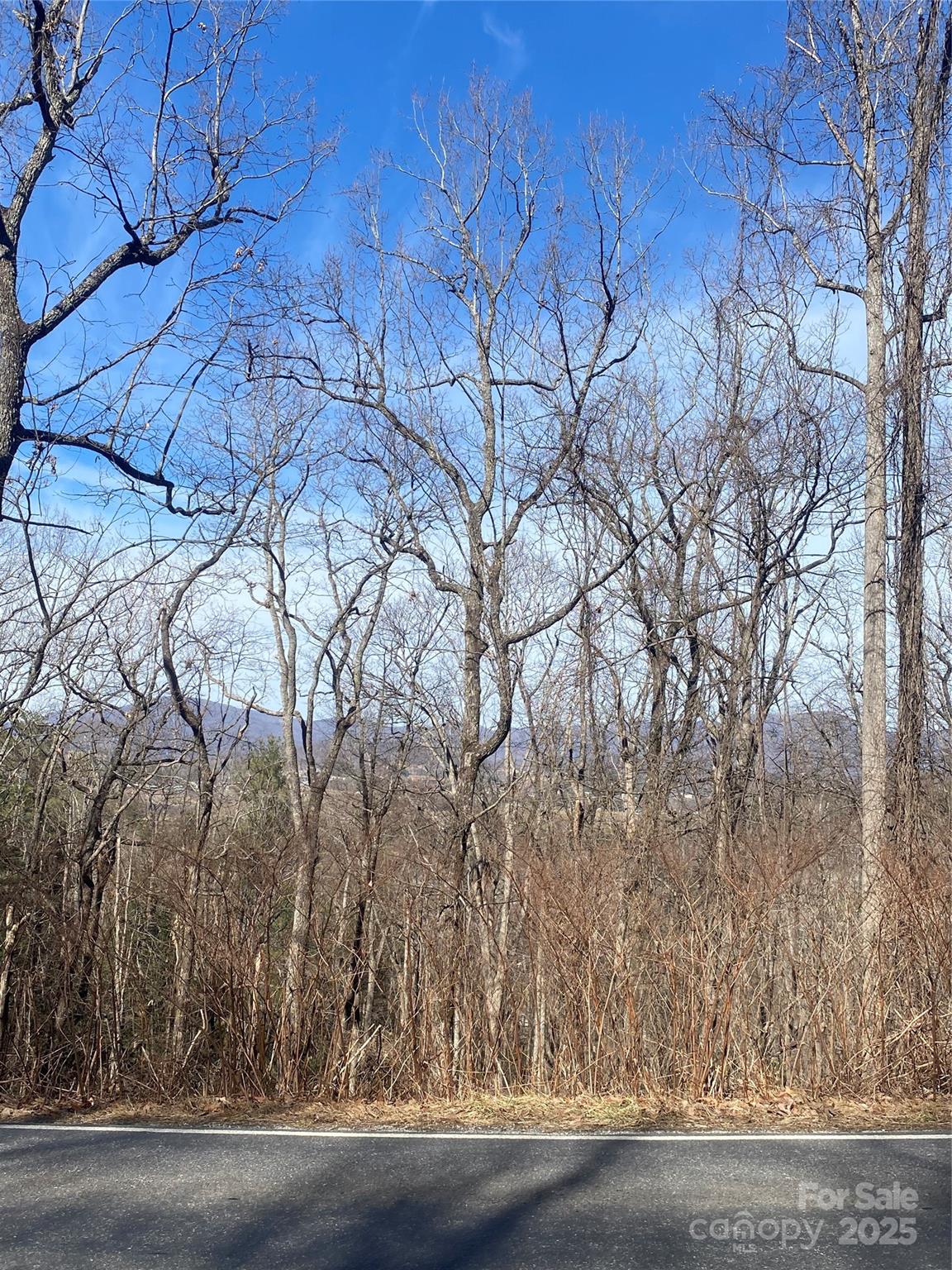 131 Eagles Eye Drive Property Photo 4