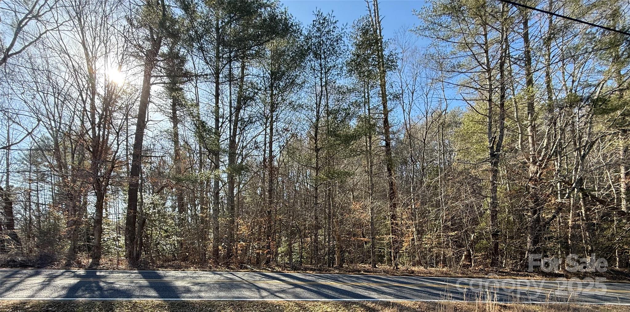 2421 Dogwood Vista Property Photo 2