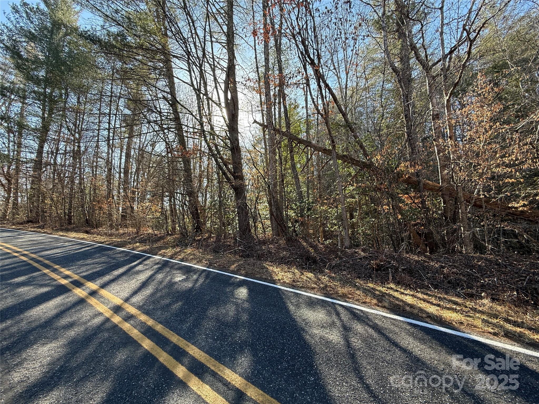 2421 Dogwood Vista Property Photo 4