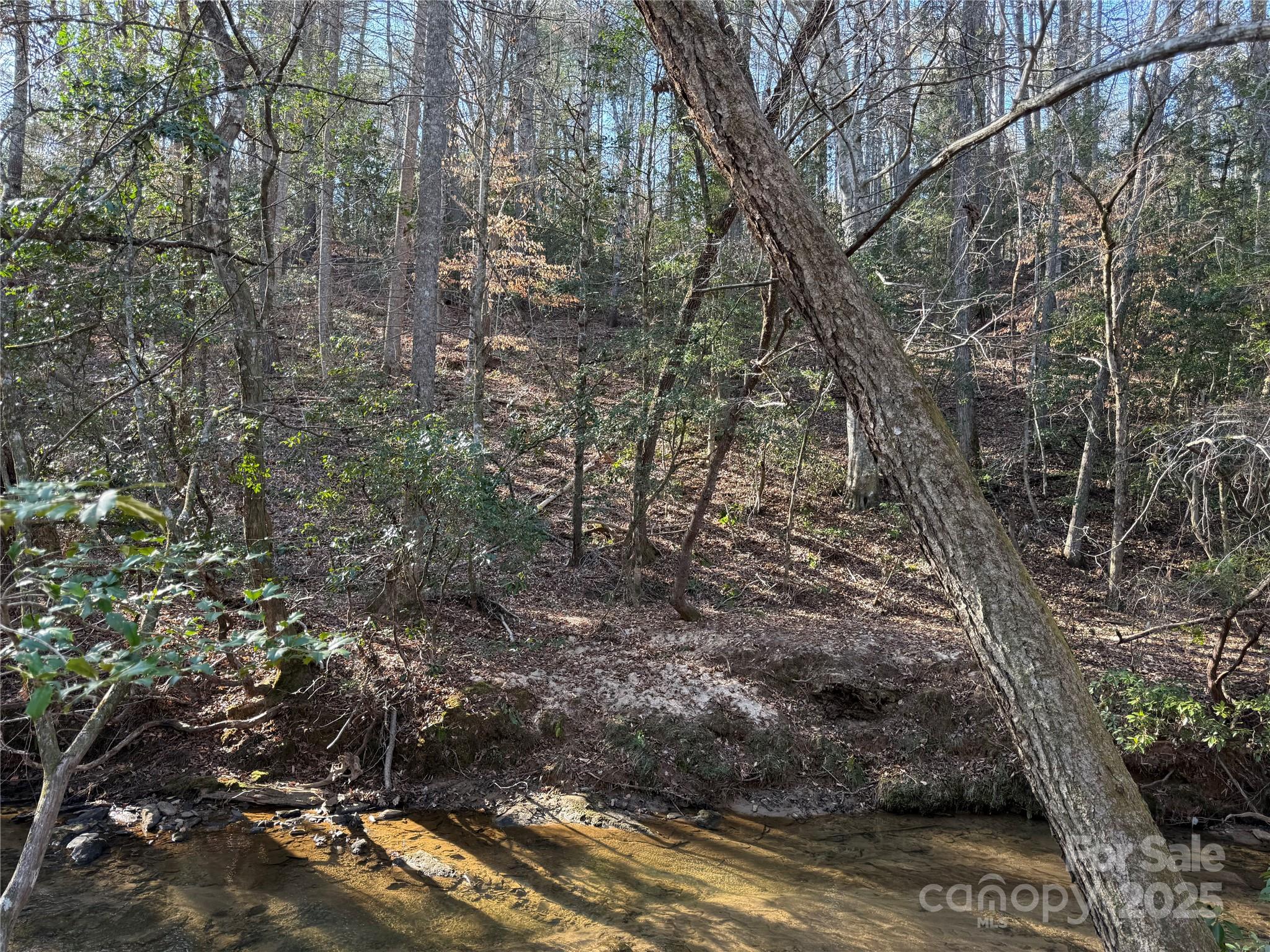2421 Dogwood Vista Property Photo 8