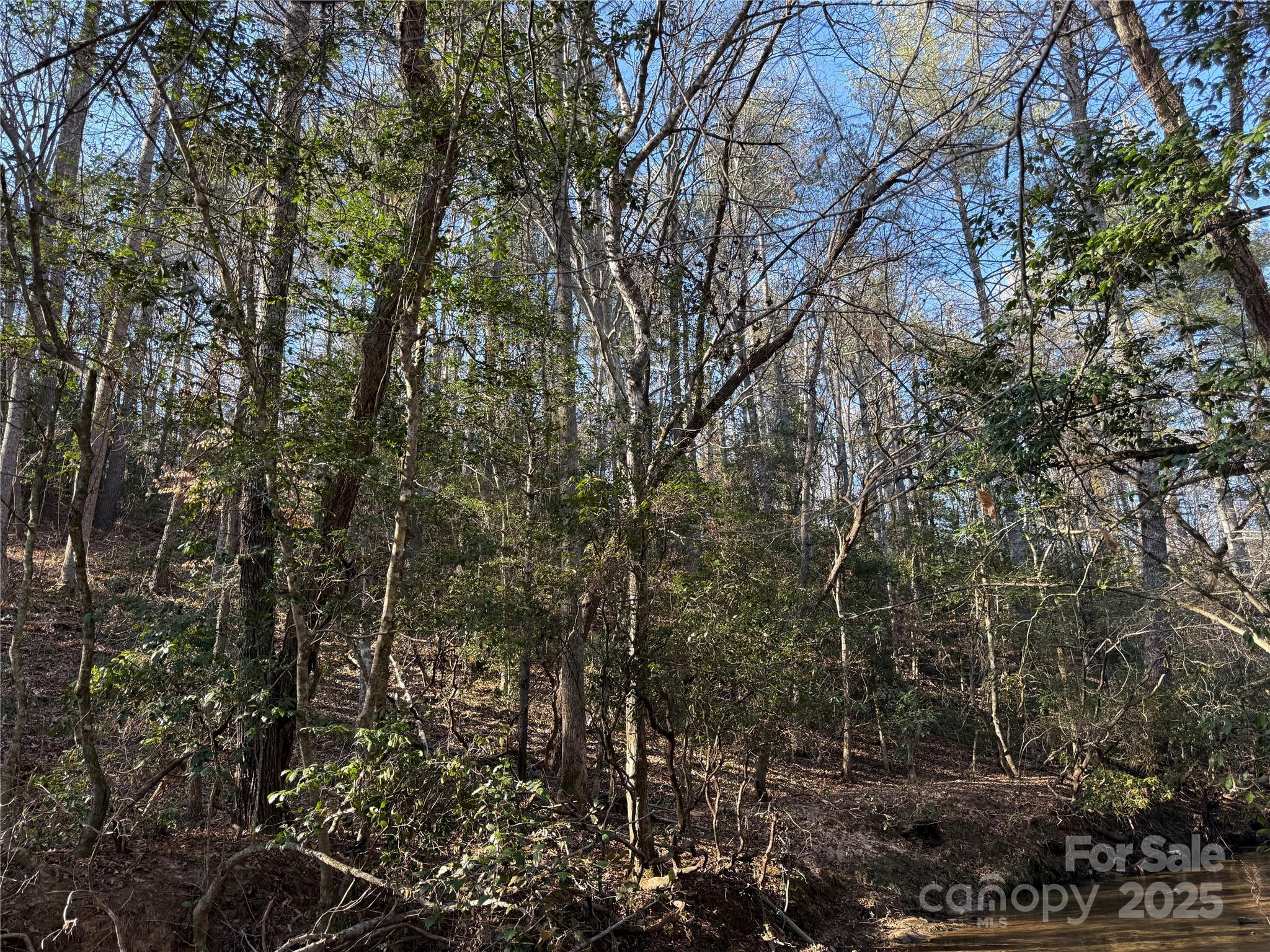 2421 Dogwood Vista Property Photo 9