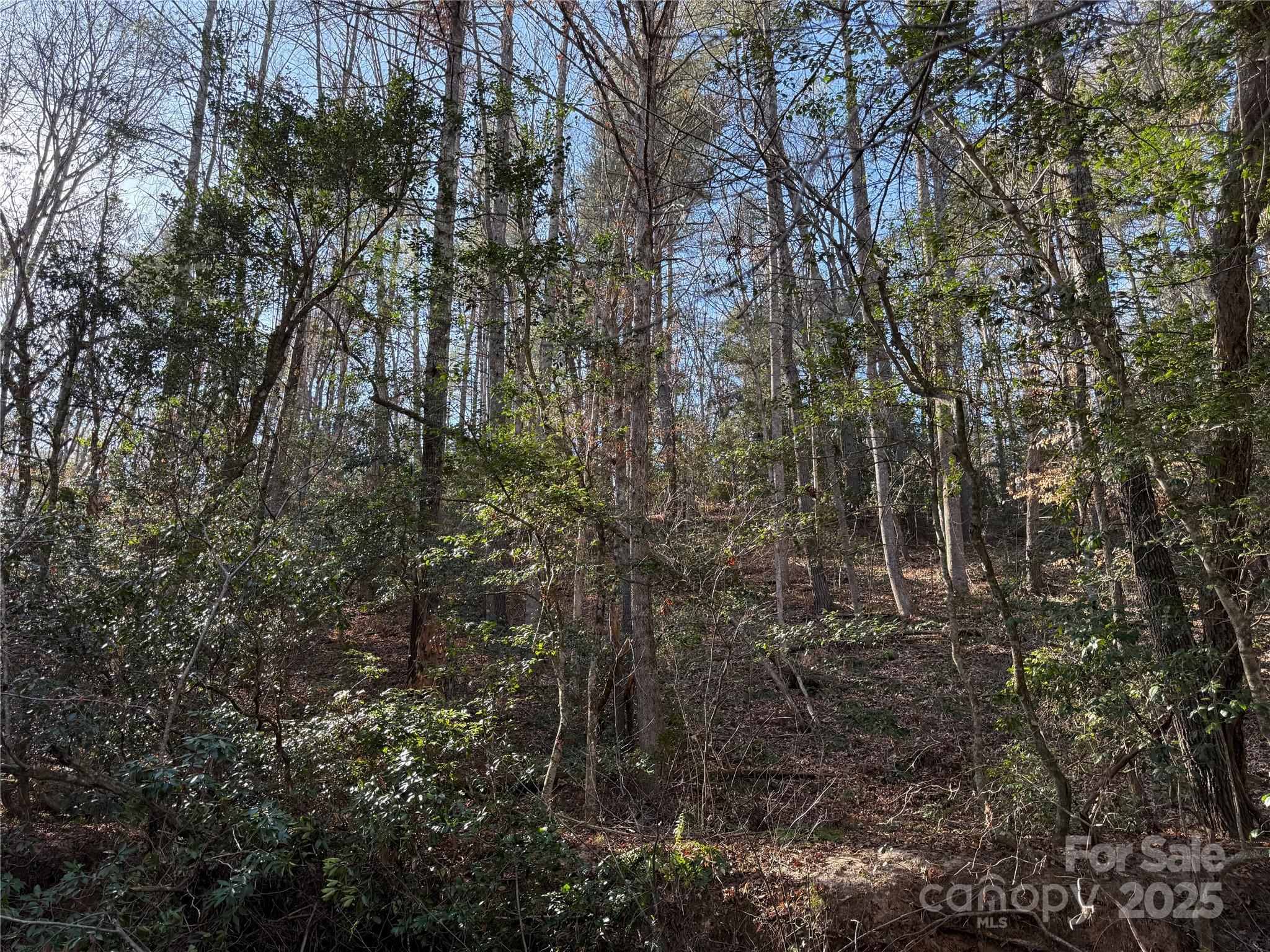 2421 Dogwood Vista Property Photo 10