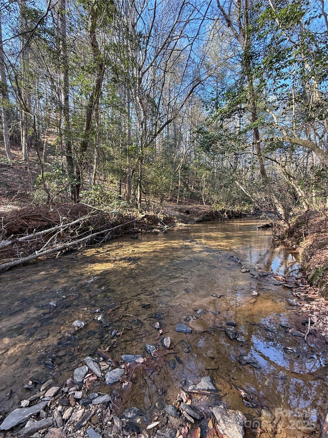 2421 Dogwood Vista Property Photo 12