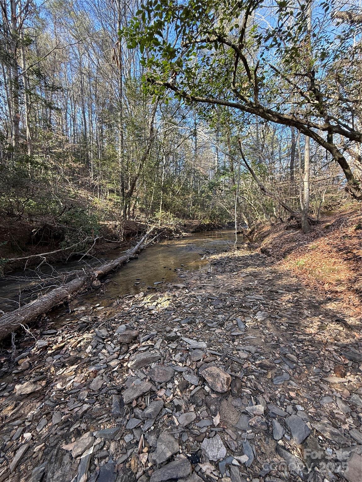 2421 Dogwood Vista Property Photo 13