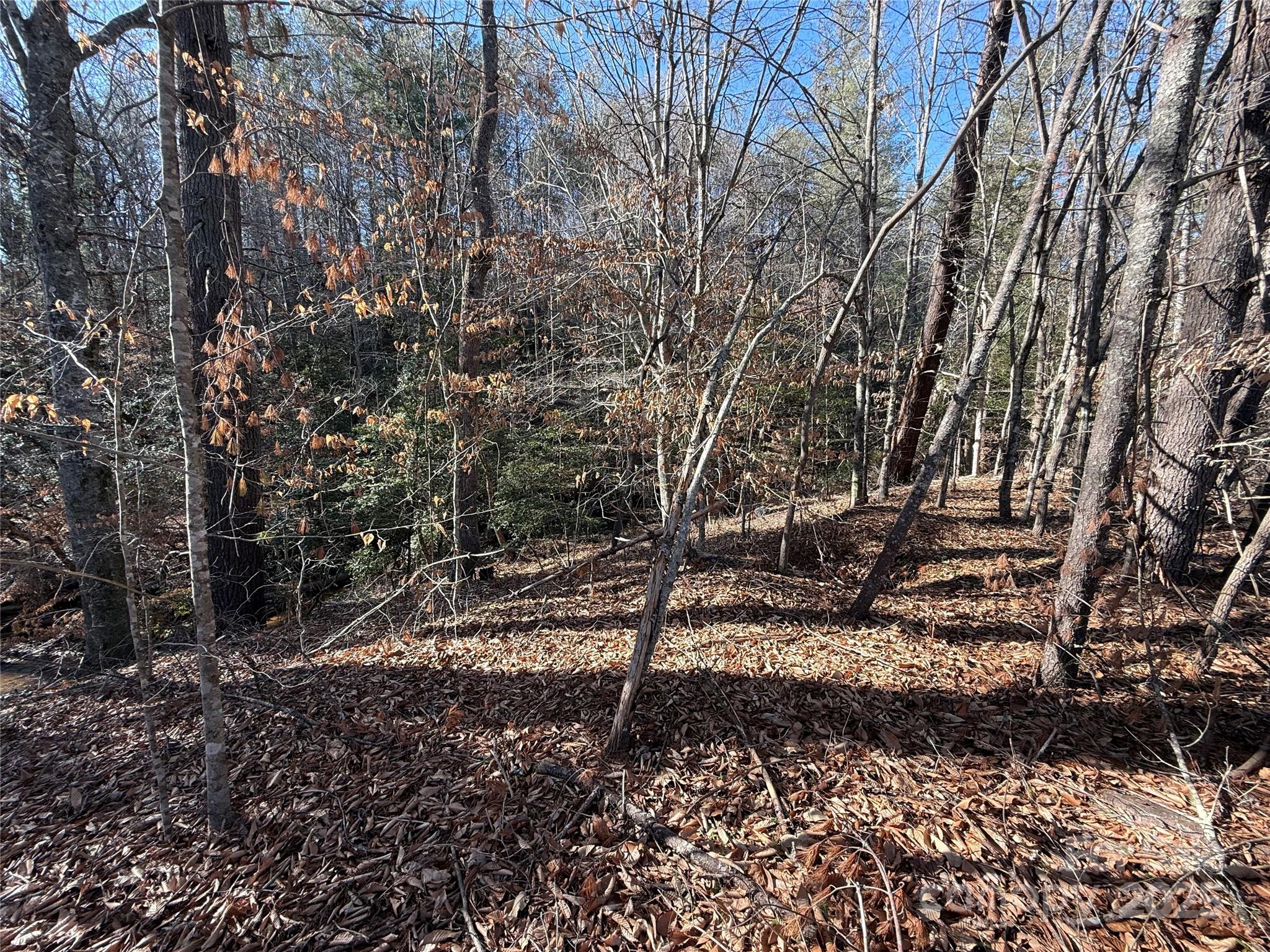 2421 Dogwood Vista Property Photo 15