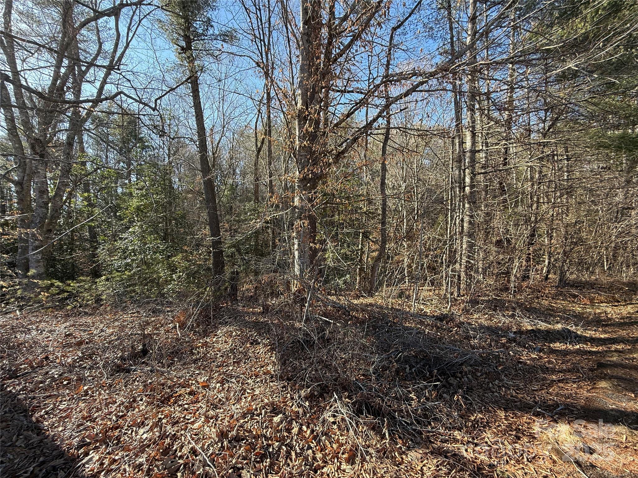 2421 Dogwood Vista Property Photo 16