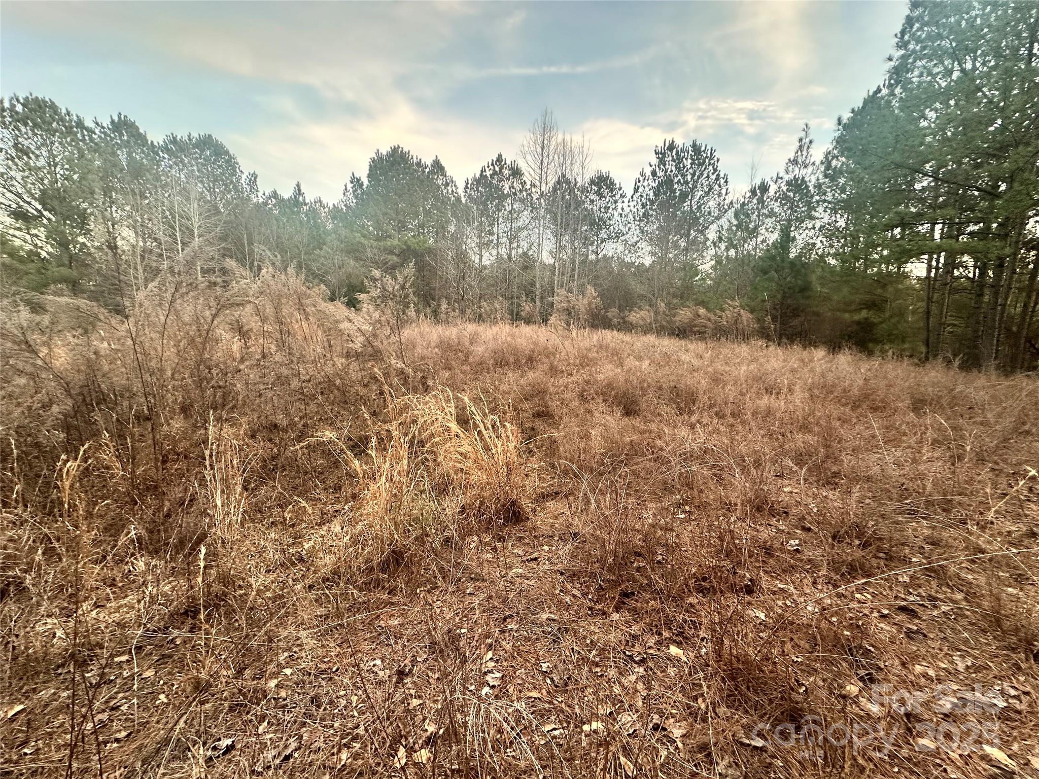 125 Riverview Drive Property Photo 3