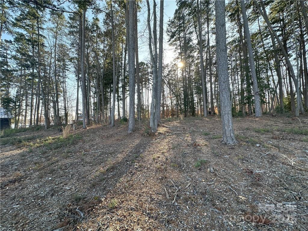 219 Sailors Rest Drive Property Photo 6