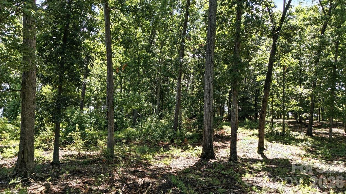 219 Sailors Rest Drive Property Photo 8