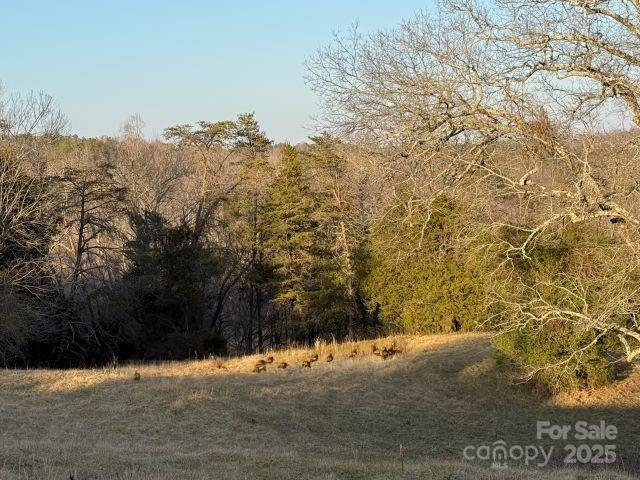 0000 Polkville Road Property Photo