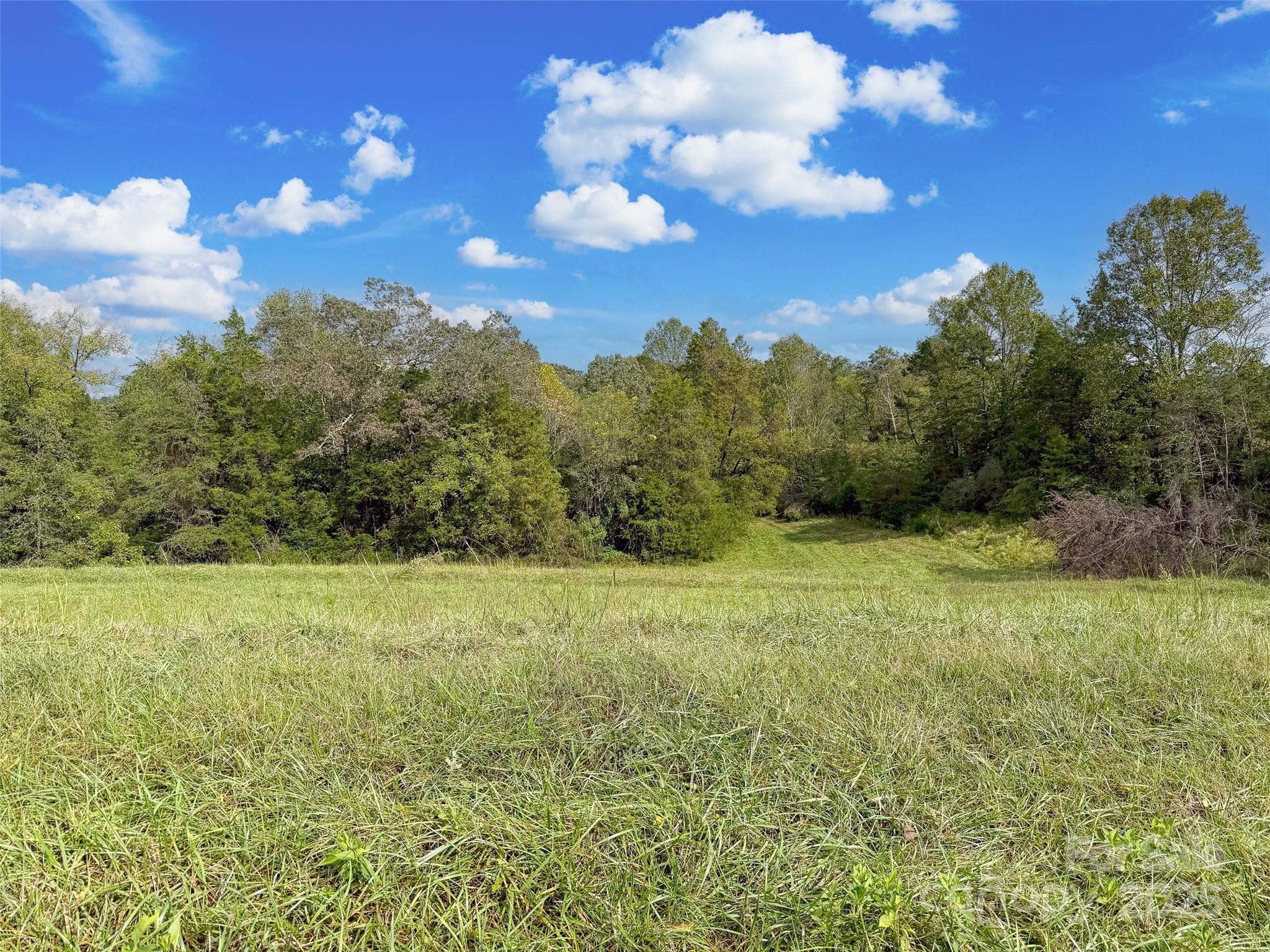 0000 Polkville Road Property Photo 10