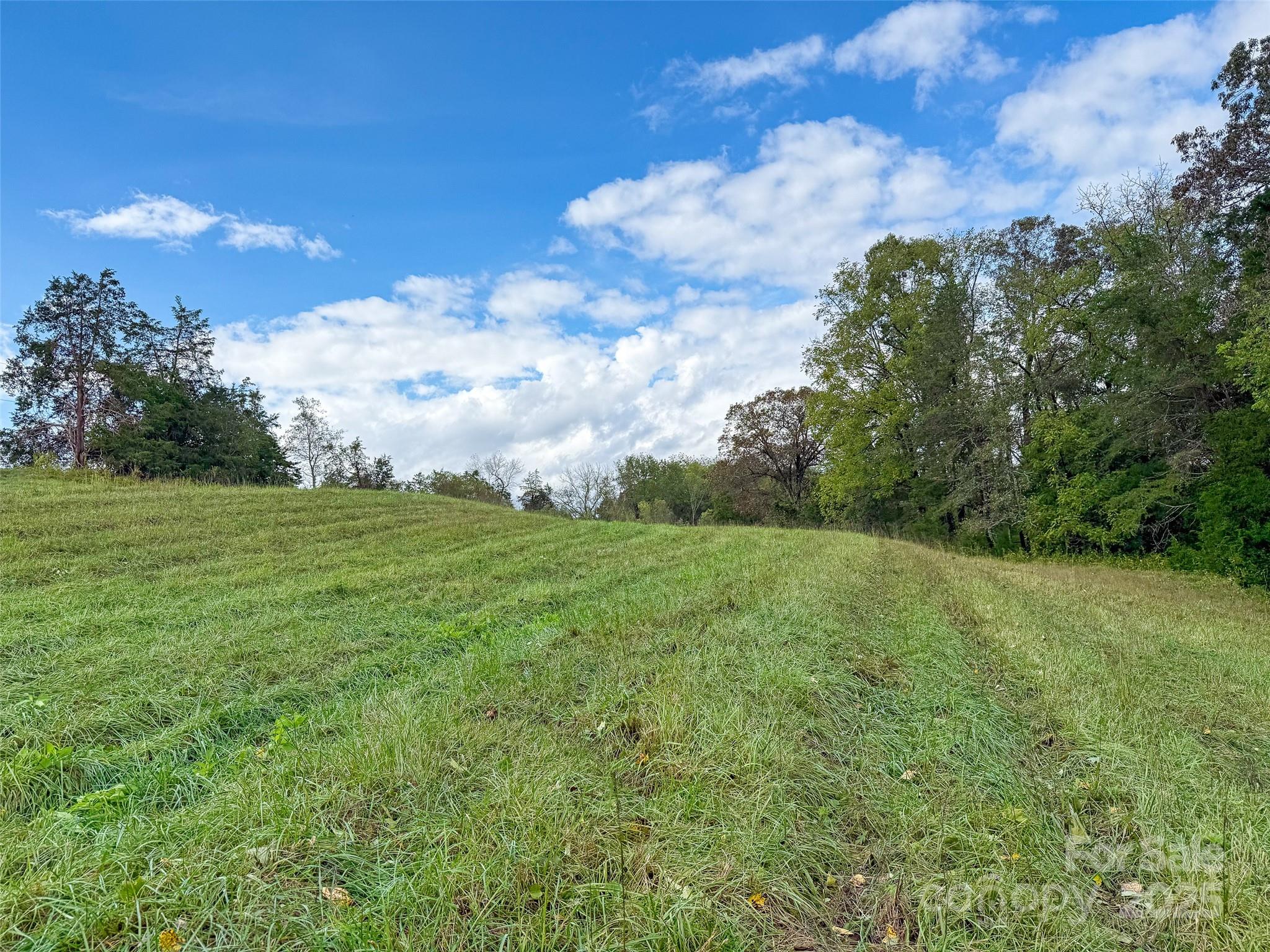 0000 Polkville Road Property Photo 12