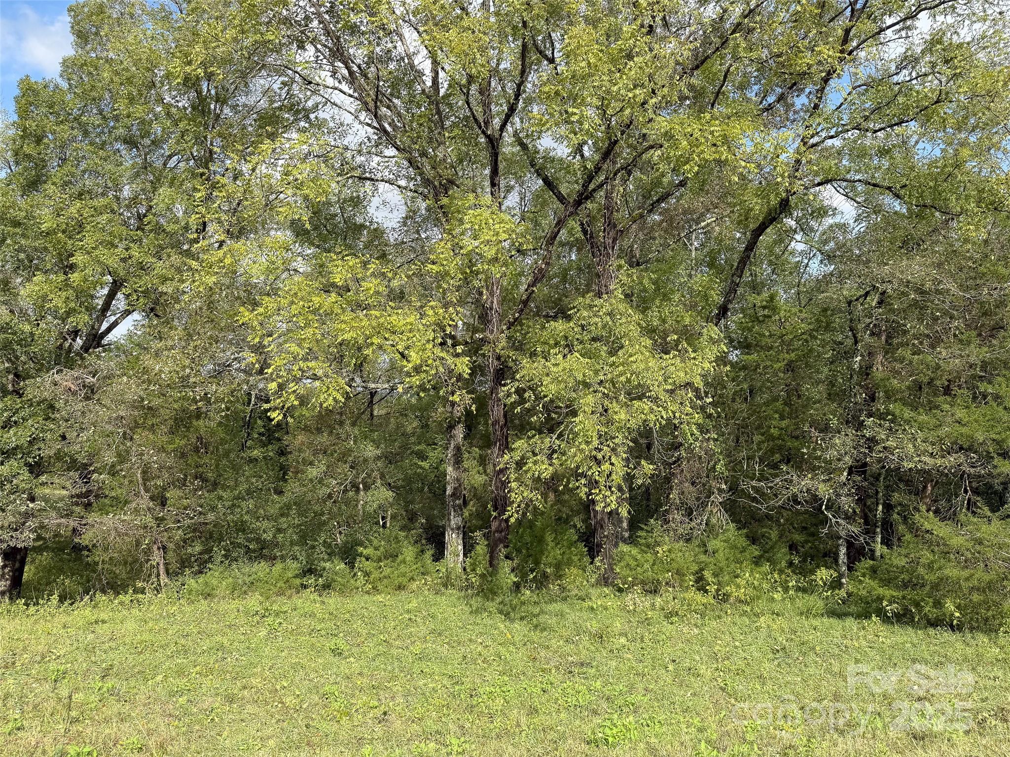 0000 Polkville Road Property Photo 14