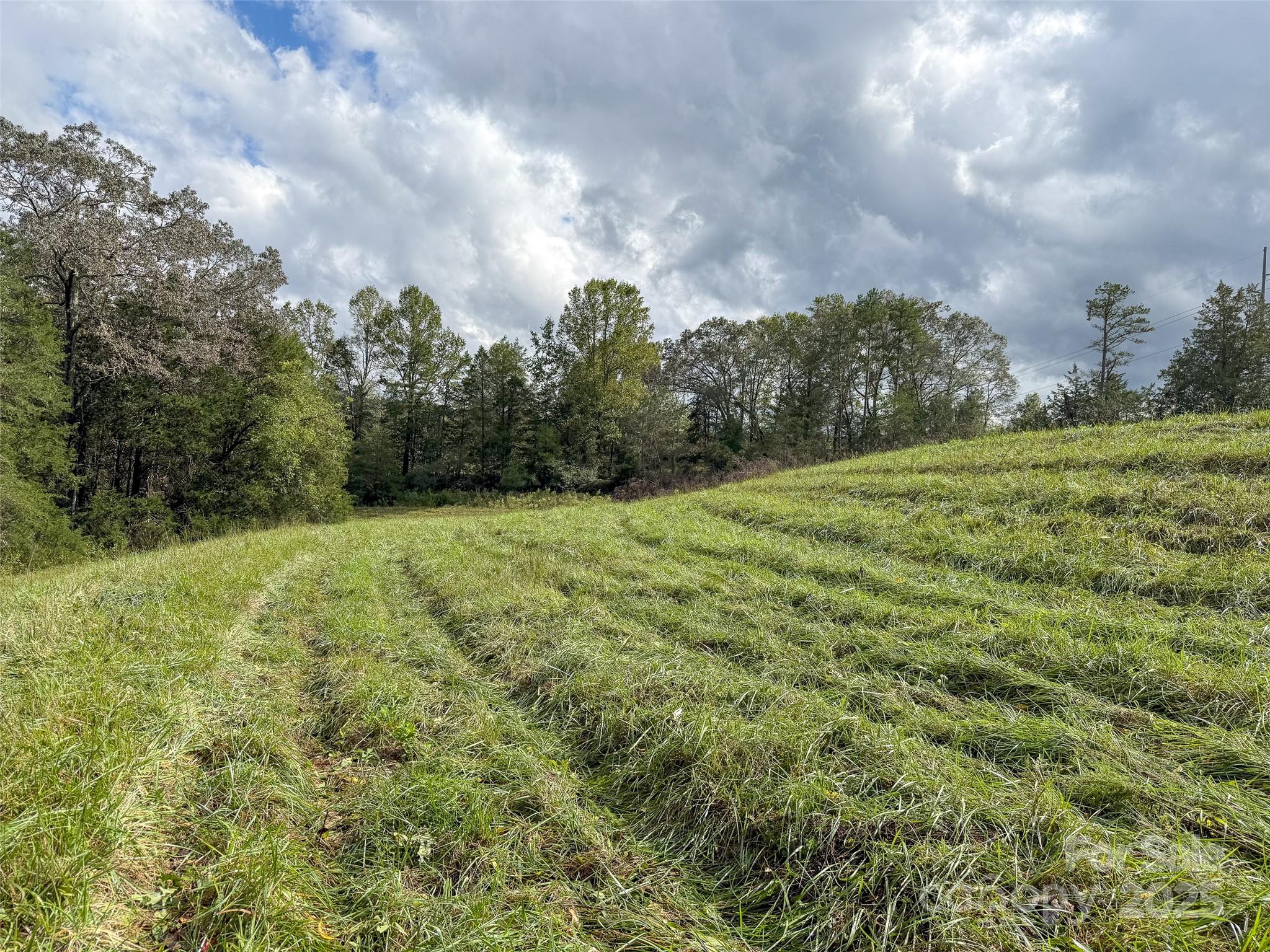 0000 Polkville Road Property Photo 15