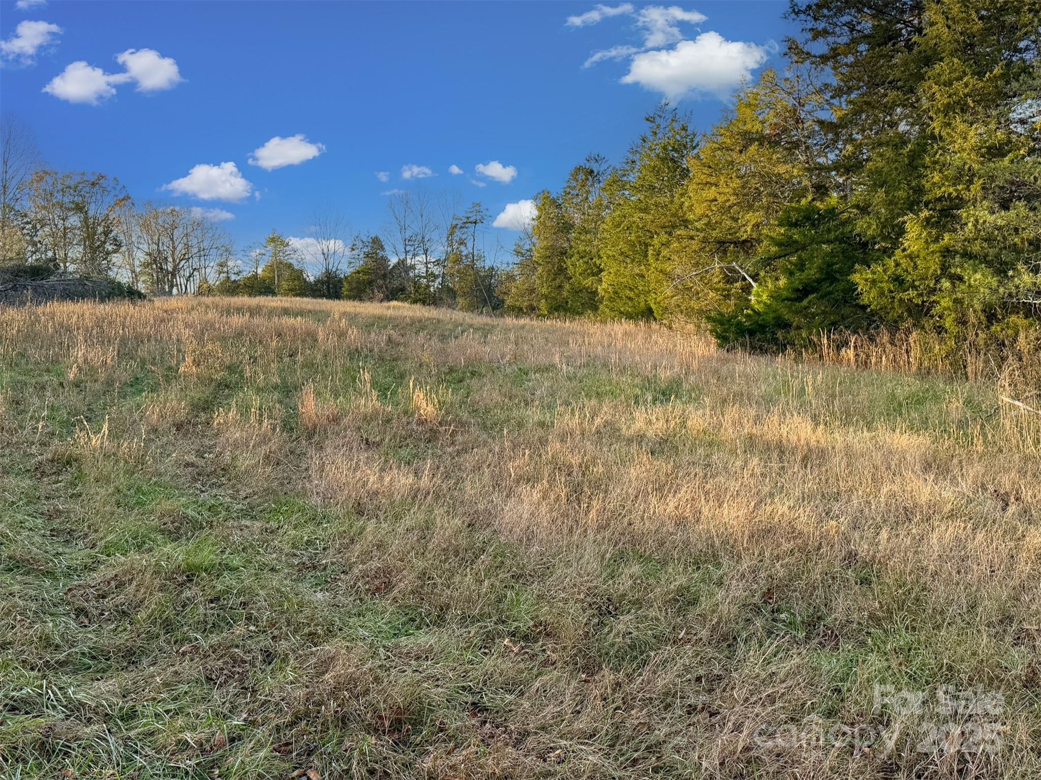 0000 Polkville Road Property Photo 17