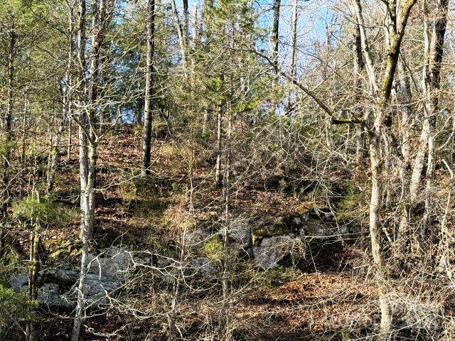 0000 Polkville Road Property Photo 21