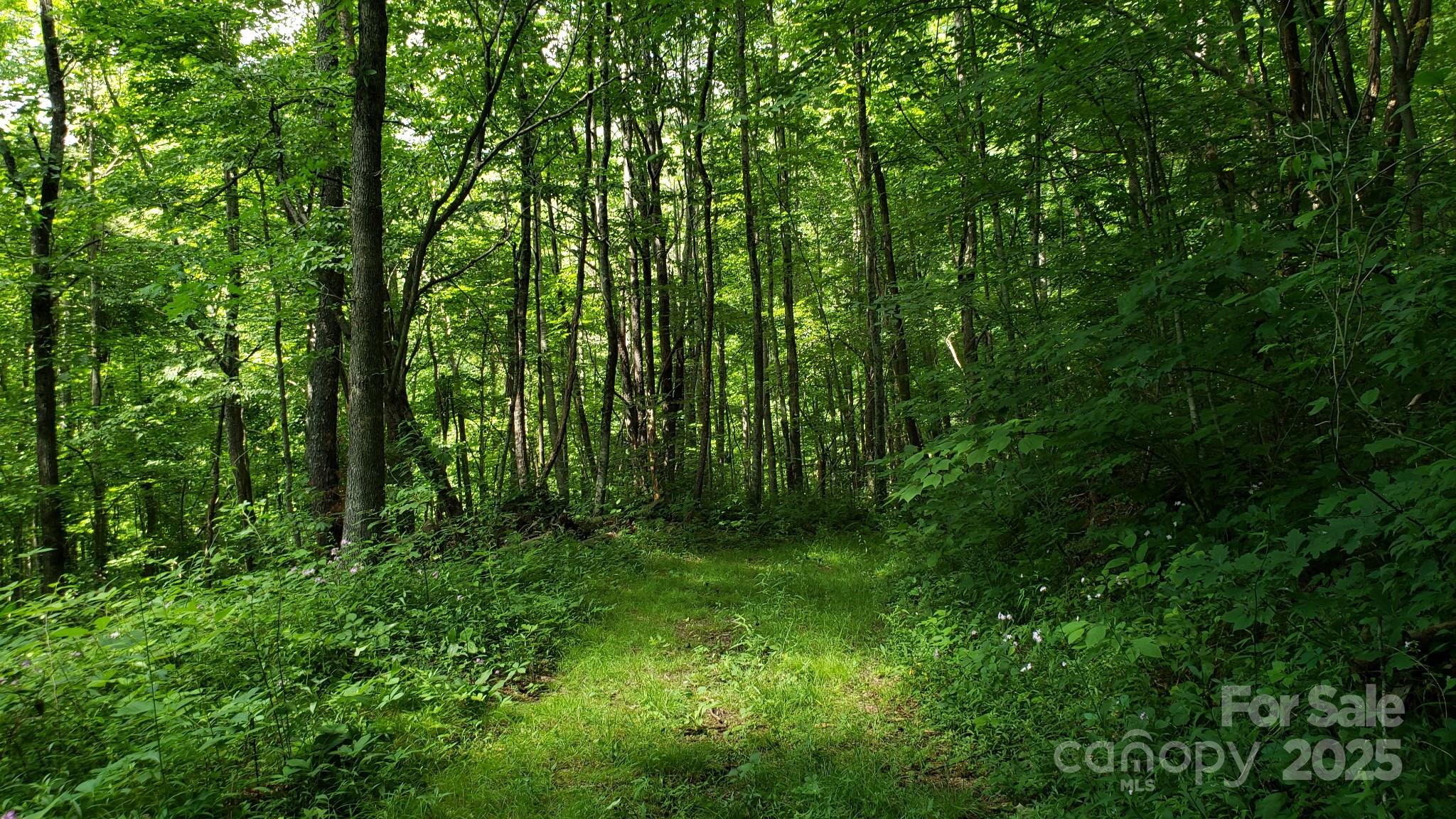 165#2 Wagon Wheel Way Property Photo 2