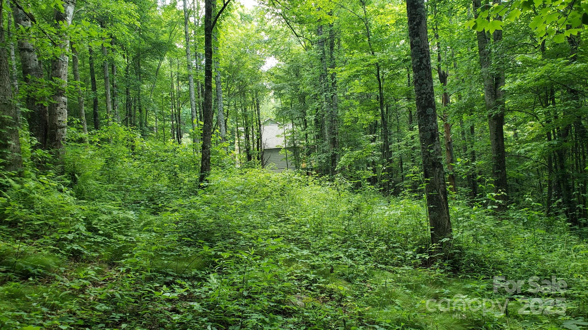 165#2 Wagon Wheel Way Property Photo 3
