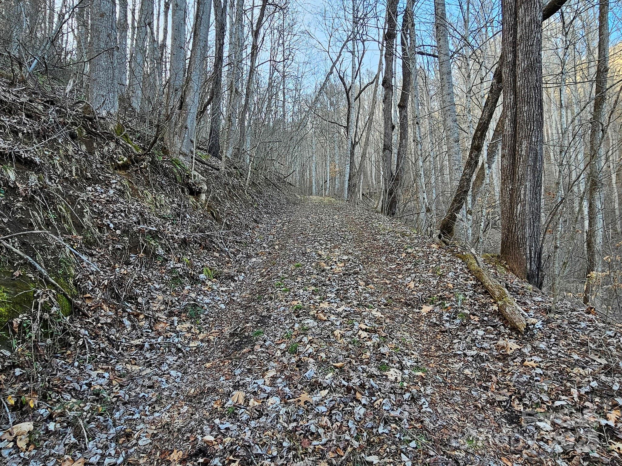 80 Choke Berry Ridge Property Photo 2