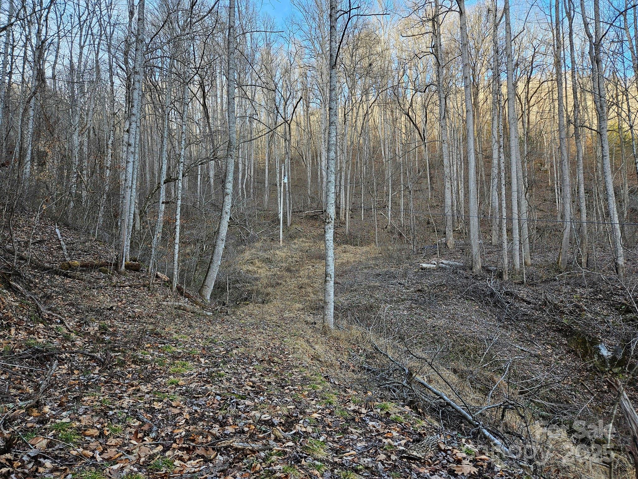 80 Choke Berry Ridge Property Photo 3