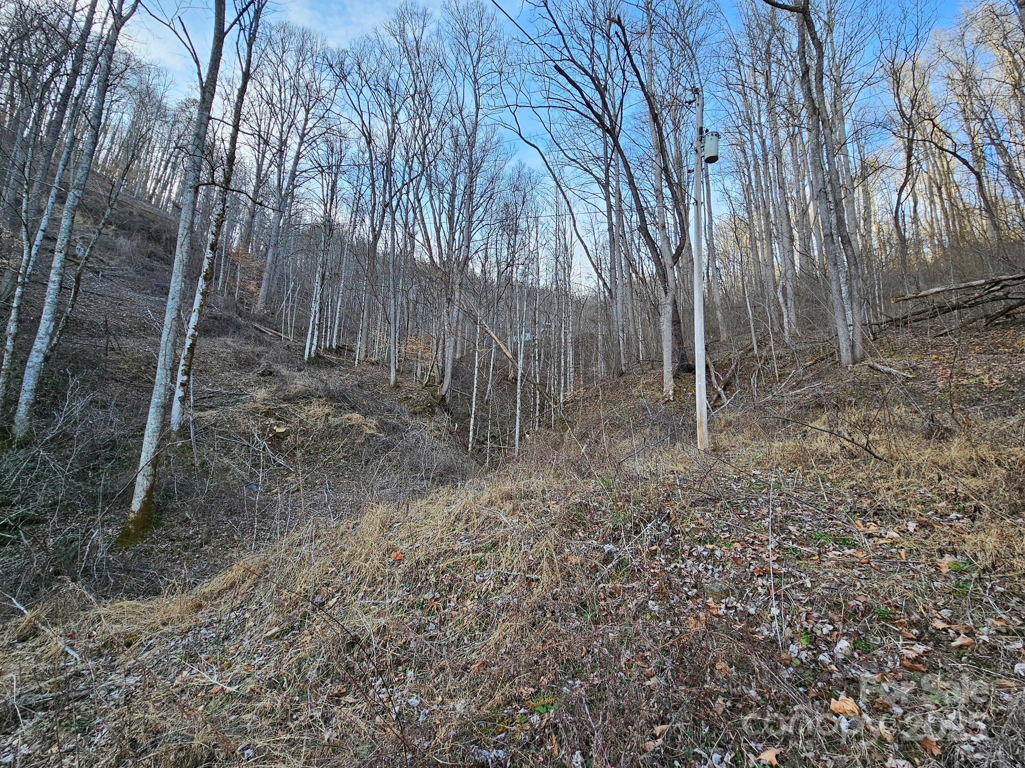 80 Choke Berry Ridge Property Photo 5