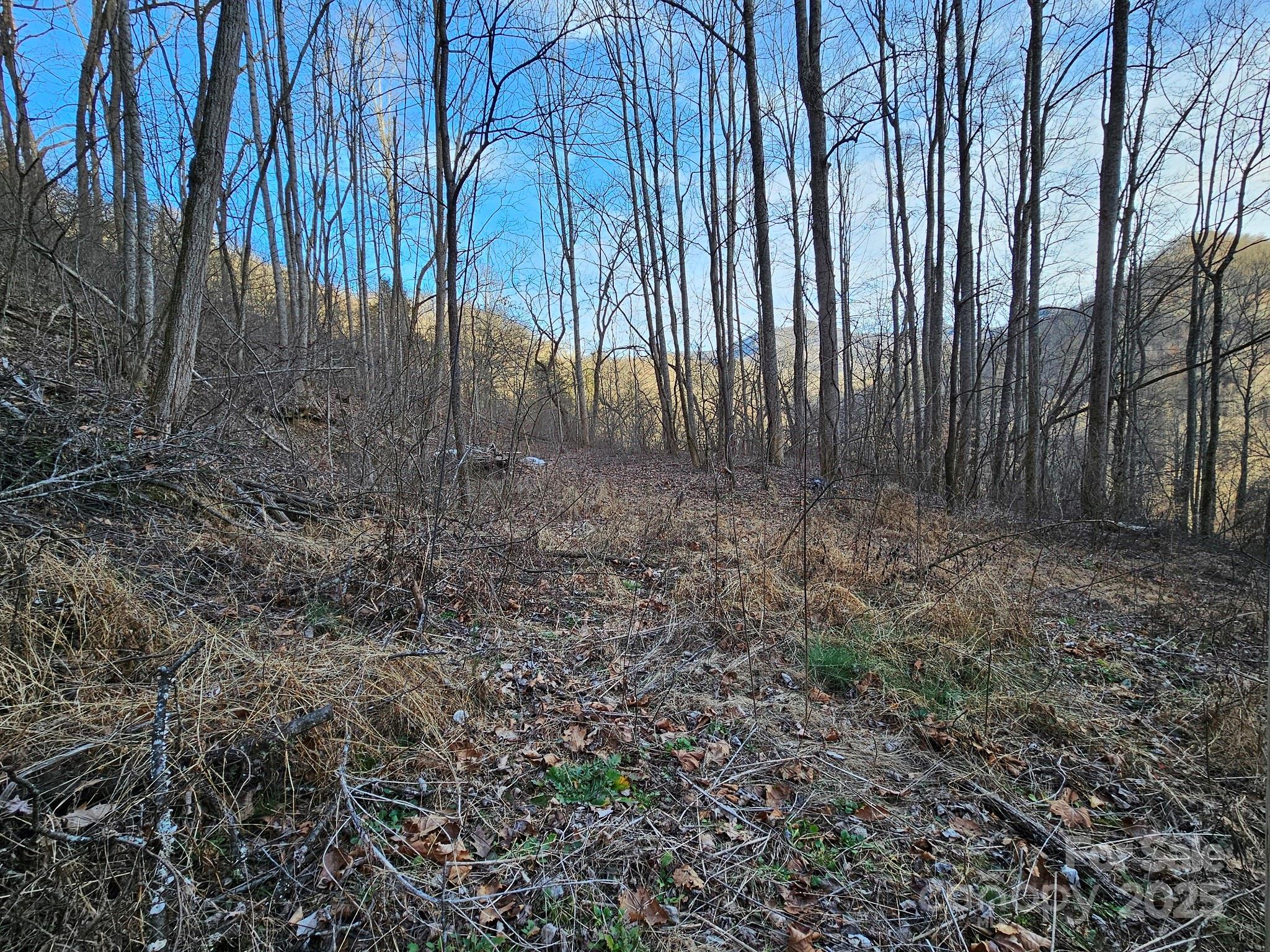 80 Choke Berry Ridge Property Photo 6