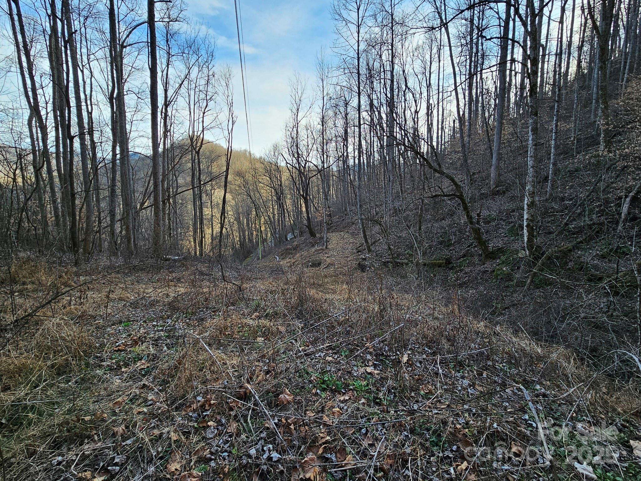80 Choke Berry Ridge Property Photo 7