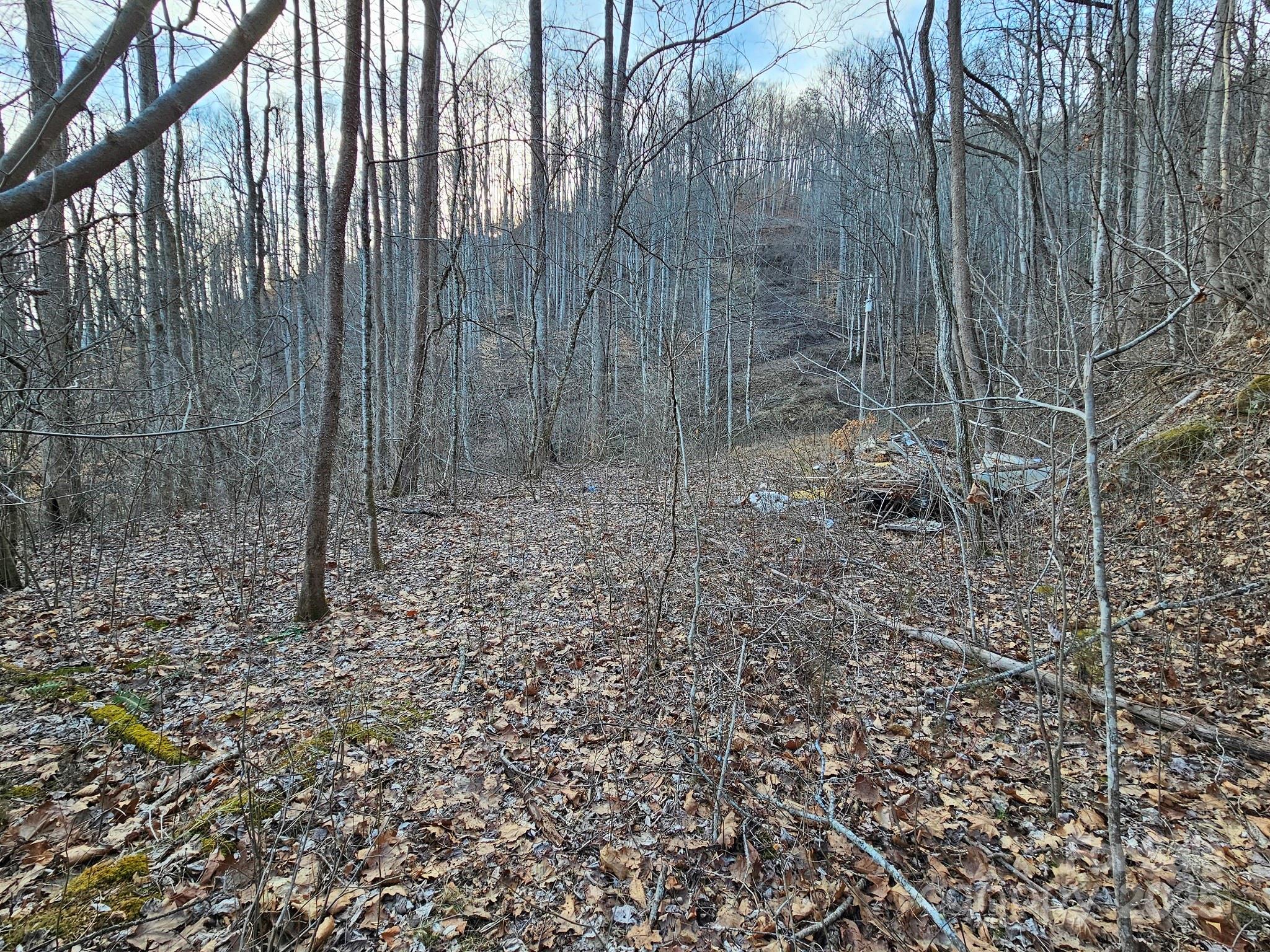 80 Choke Berry Ridge Property Photo 8