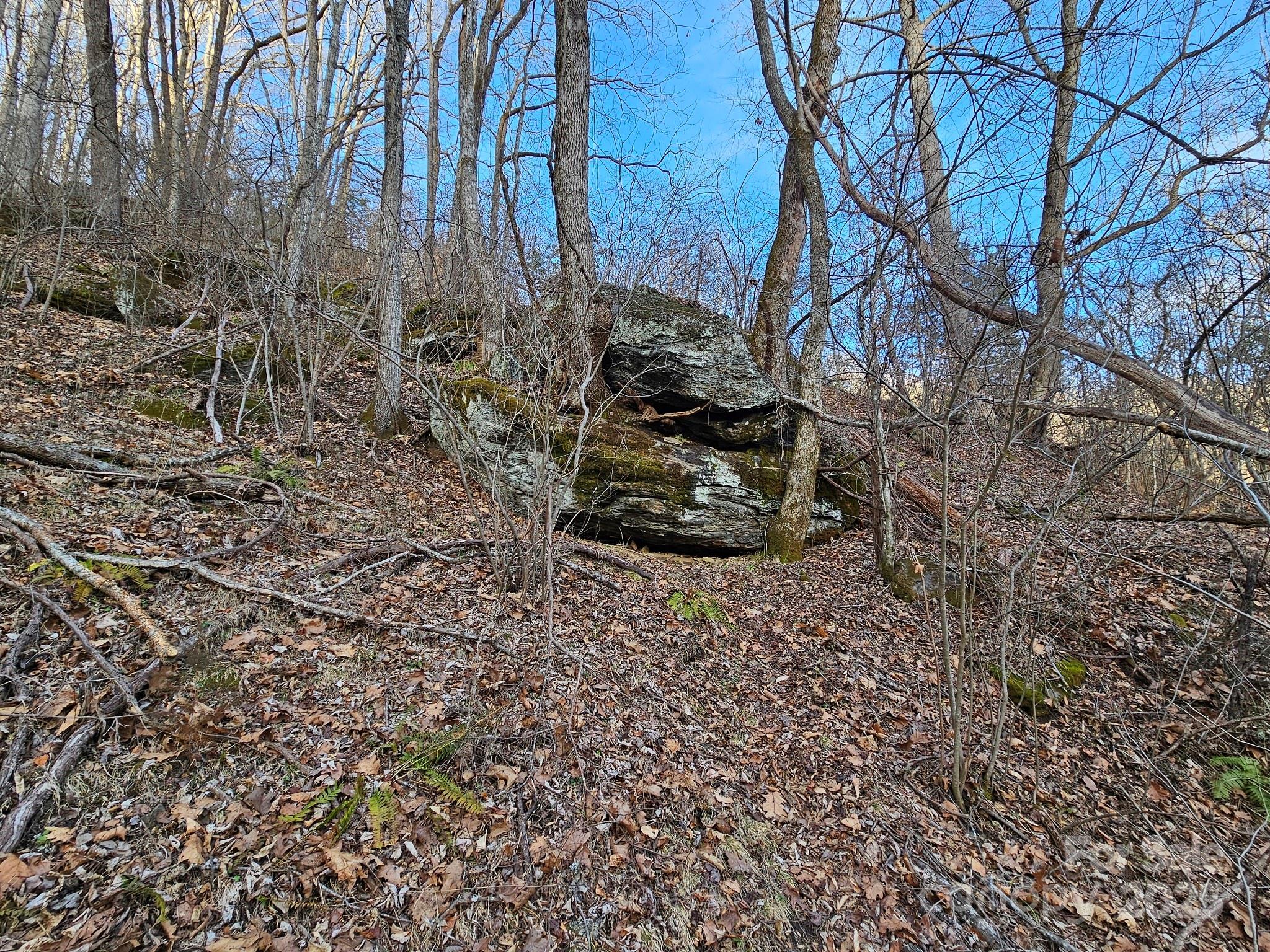 80 Choke Berry Ridge Property Photo 9
