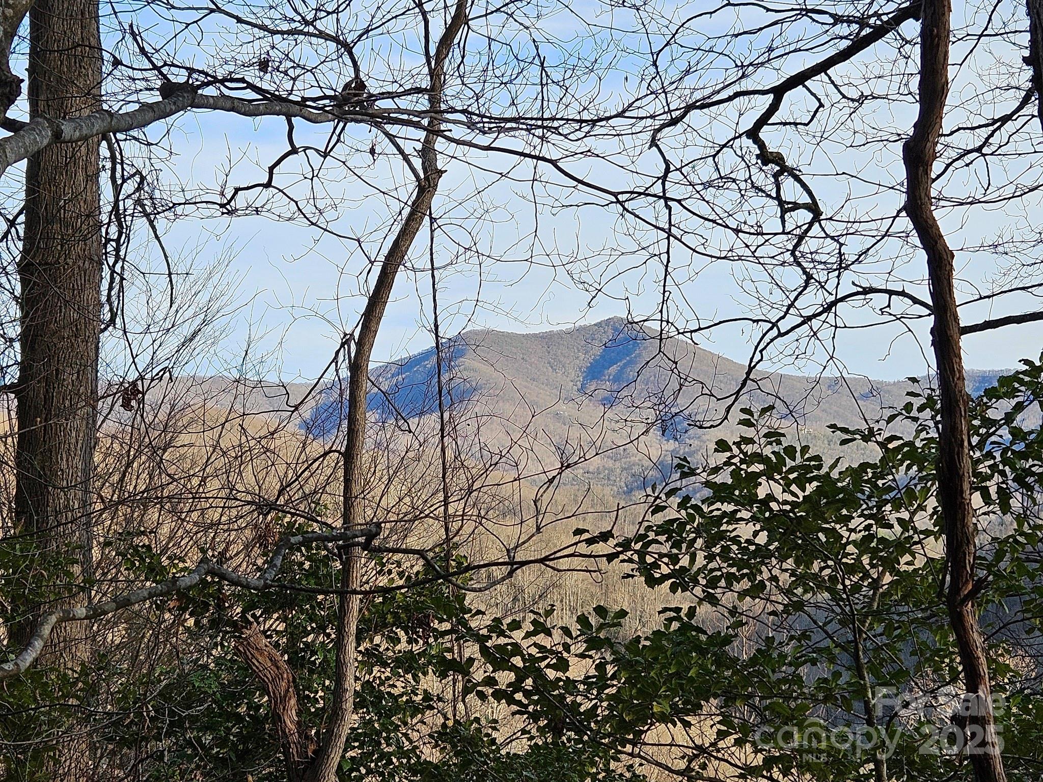 80 Choke Berry Ridge Property Photo 10