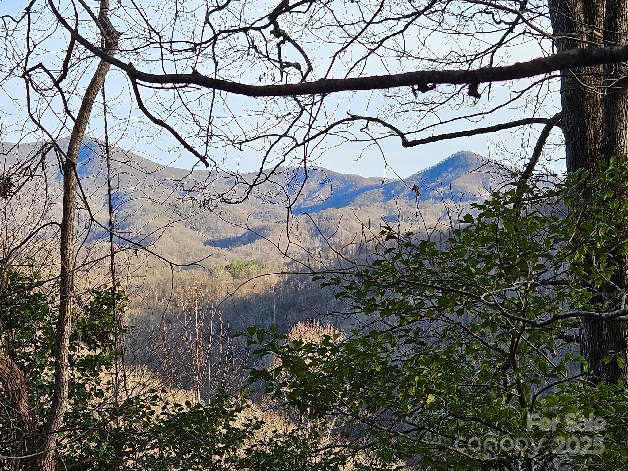 80 Choke Berry Ridge Property Photo 11